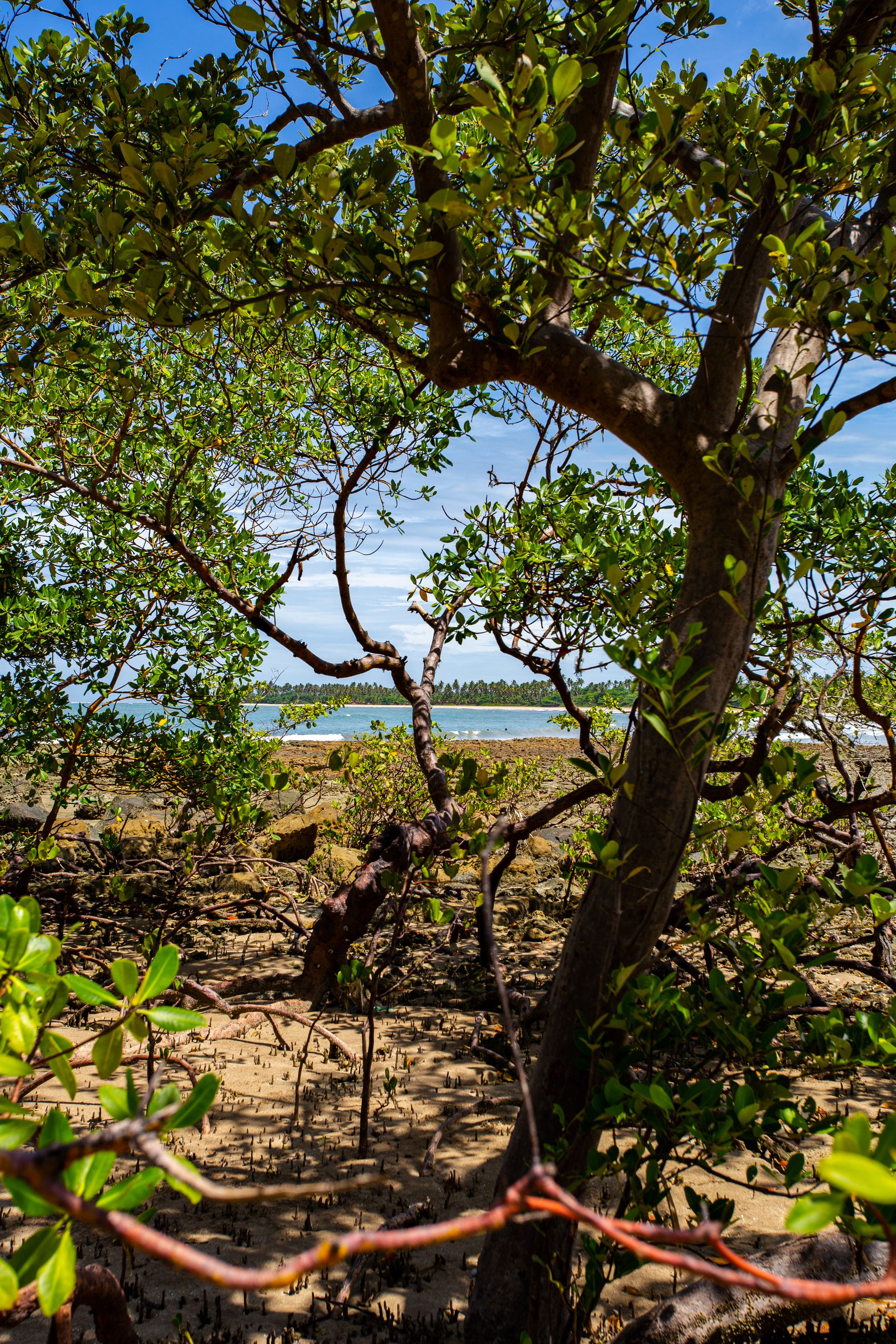 Encantos de Moreré - 2 - 0