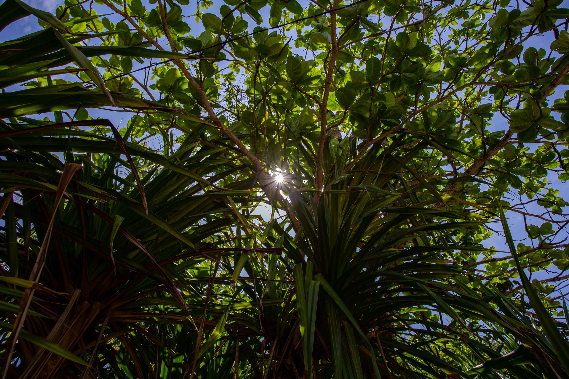 Encantos de Moreré - 2 - 0