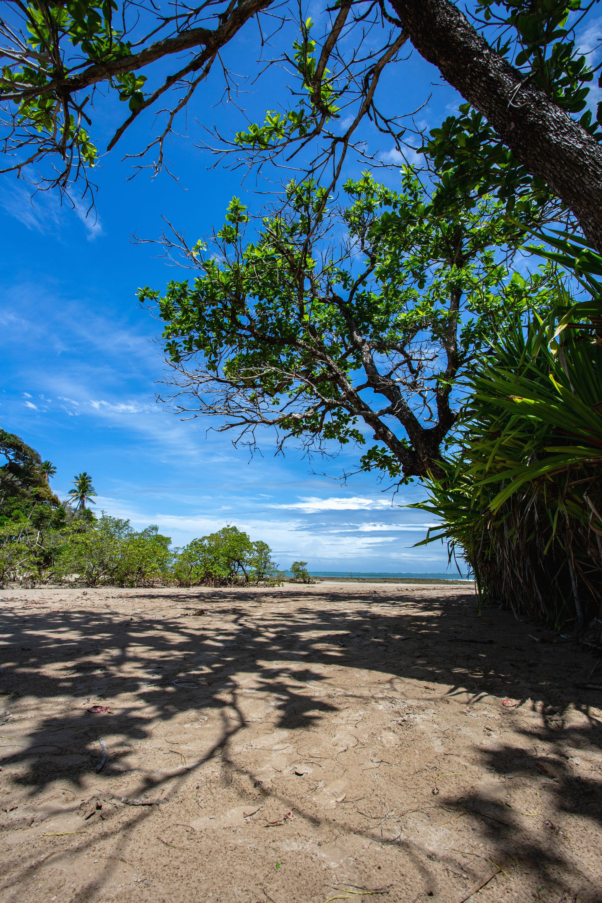 Encantos de Moreré - 2 - 1