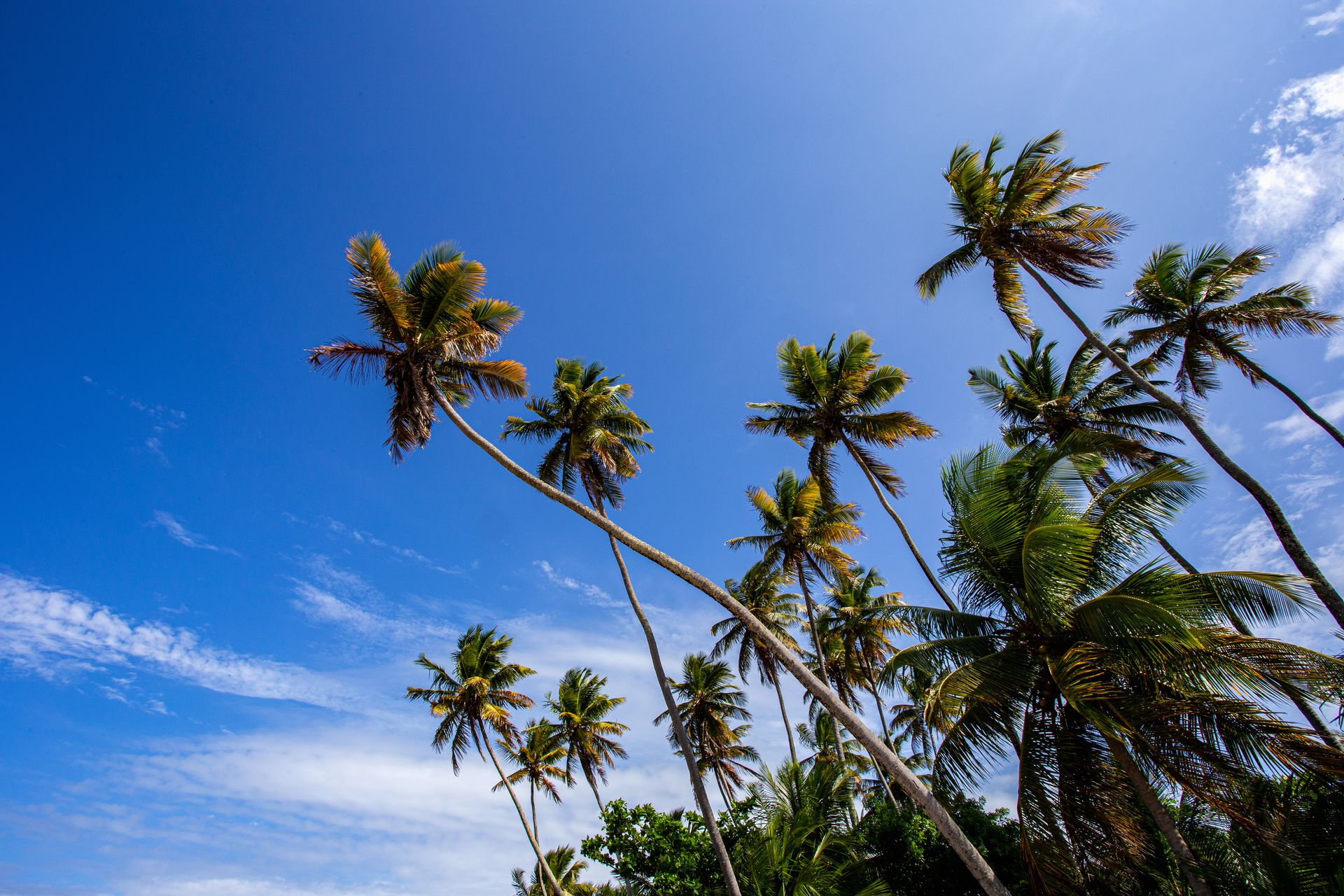 Encantos de Moreré - 2 - 0