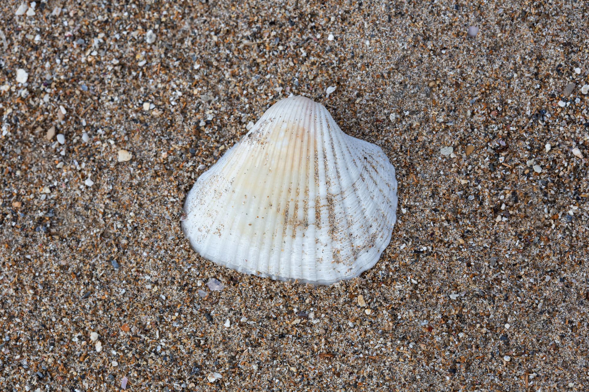 Encantos de Moreré - 2 - 0