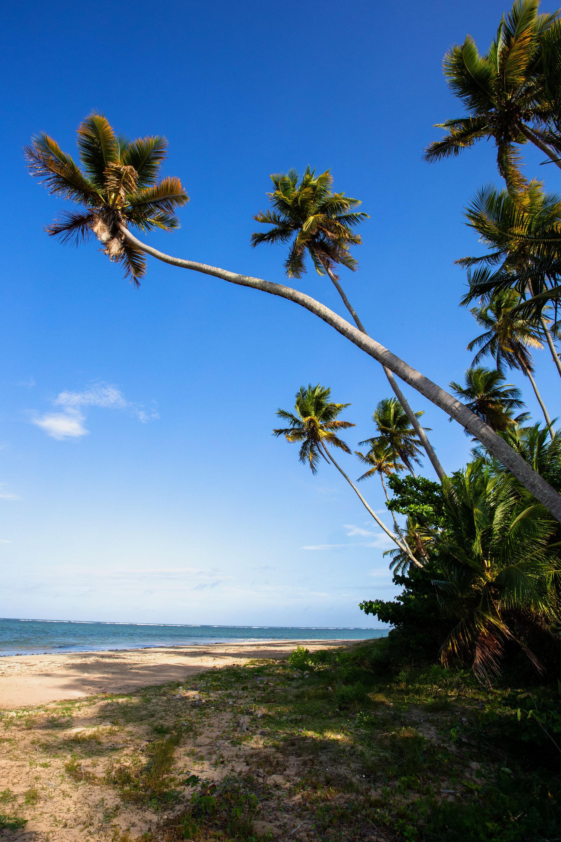 Encantos de Moreré - 2 - 0