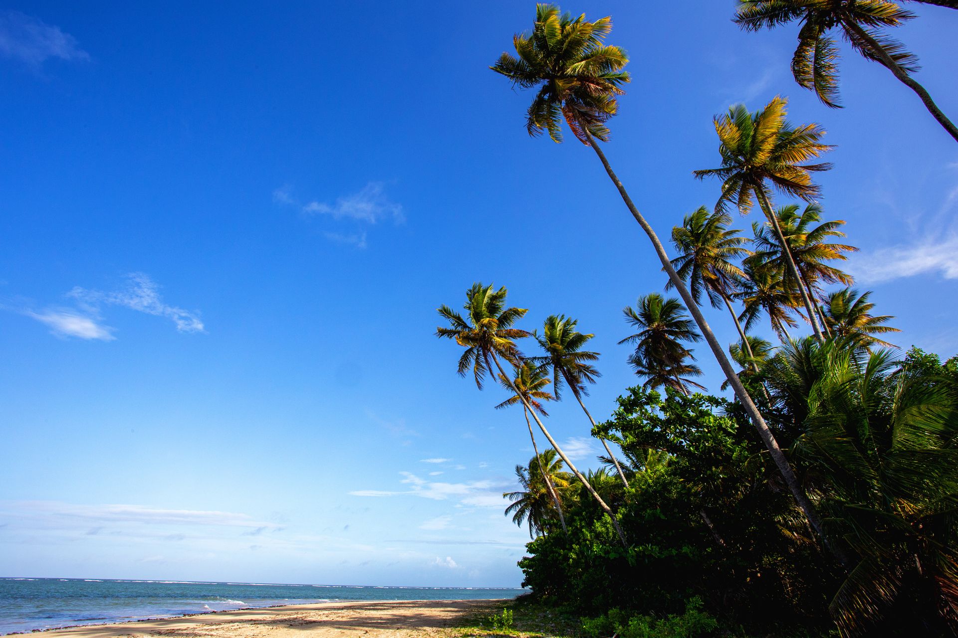 Encantos de Moreré - 2 - 1