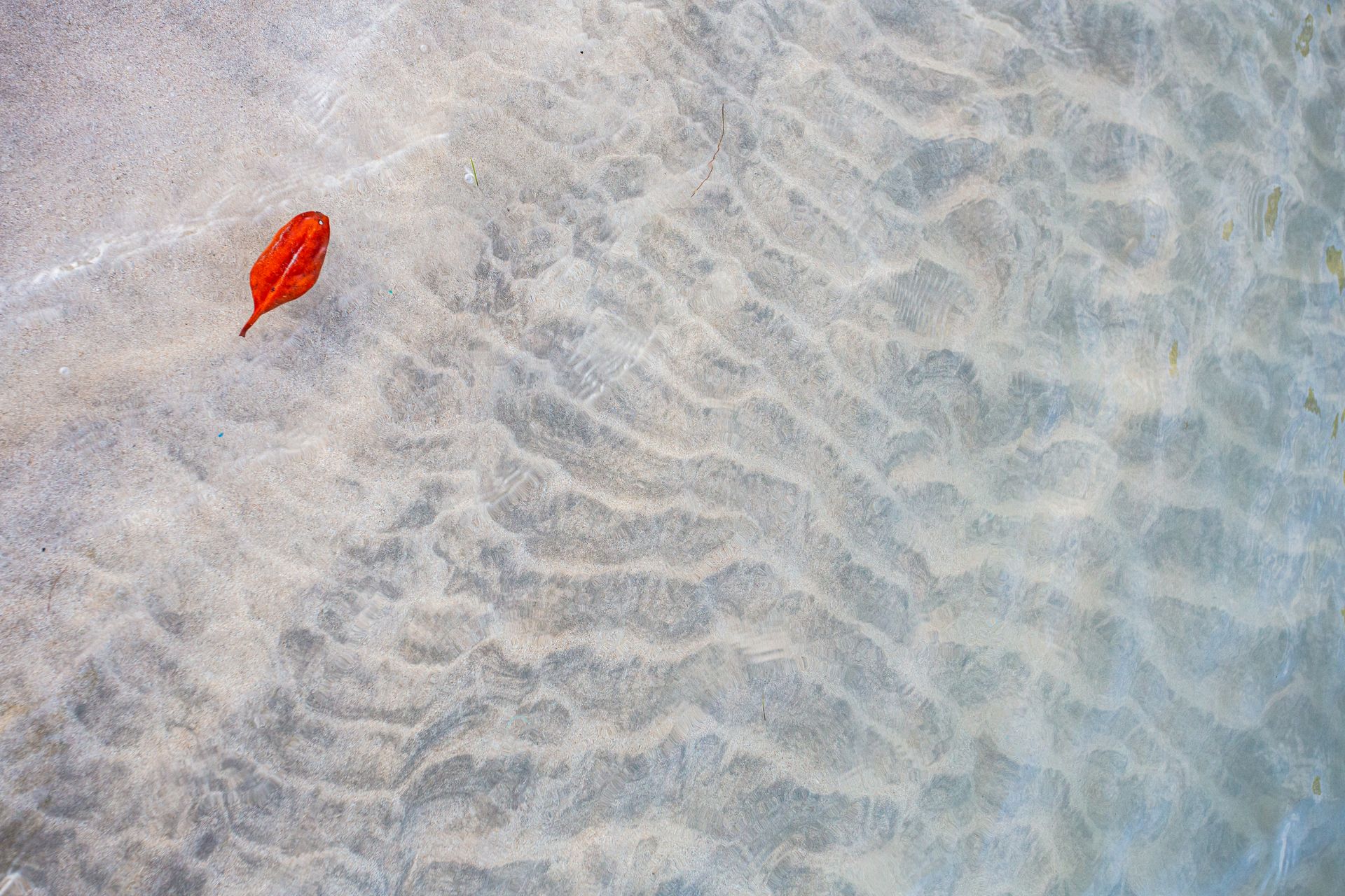 Encantos de Moreré - 2 - 1