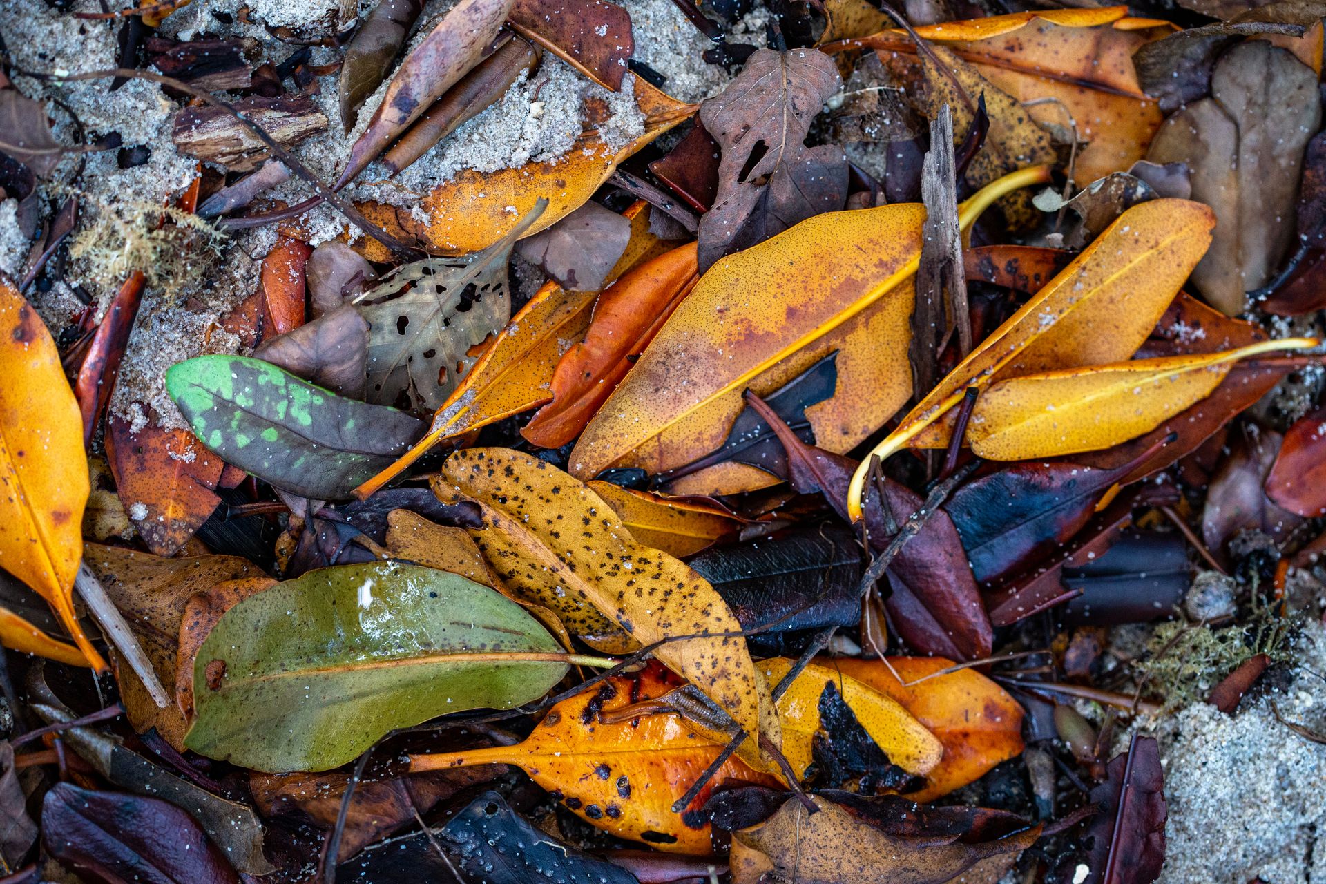 Encantos de Moreré - 2 - 0