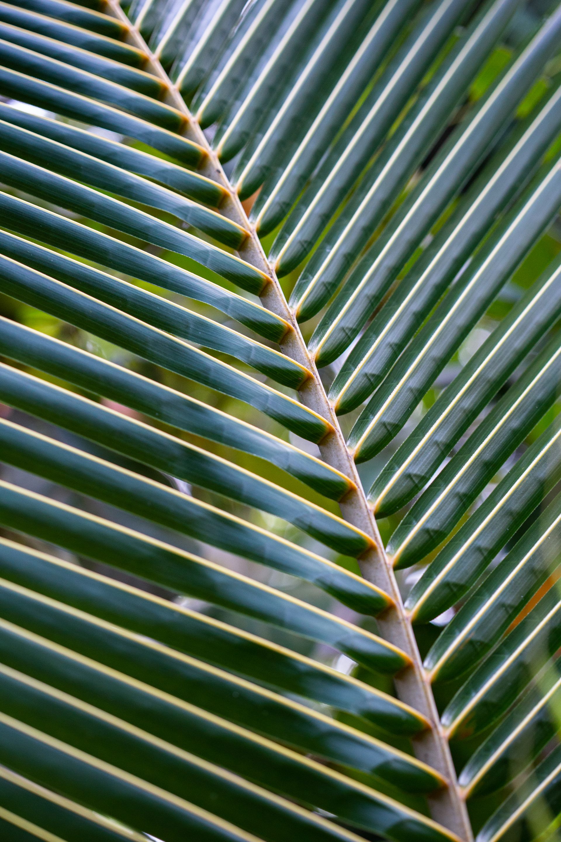 Encantos de Moreré - 2 - 0