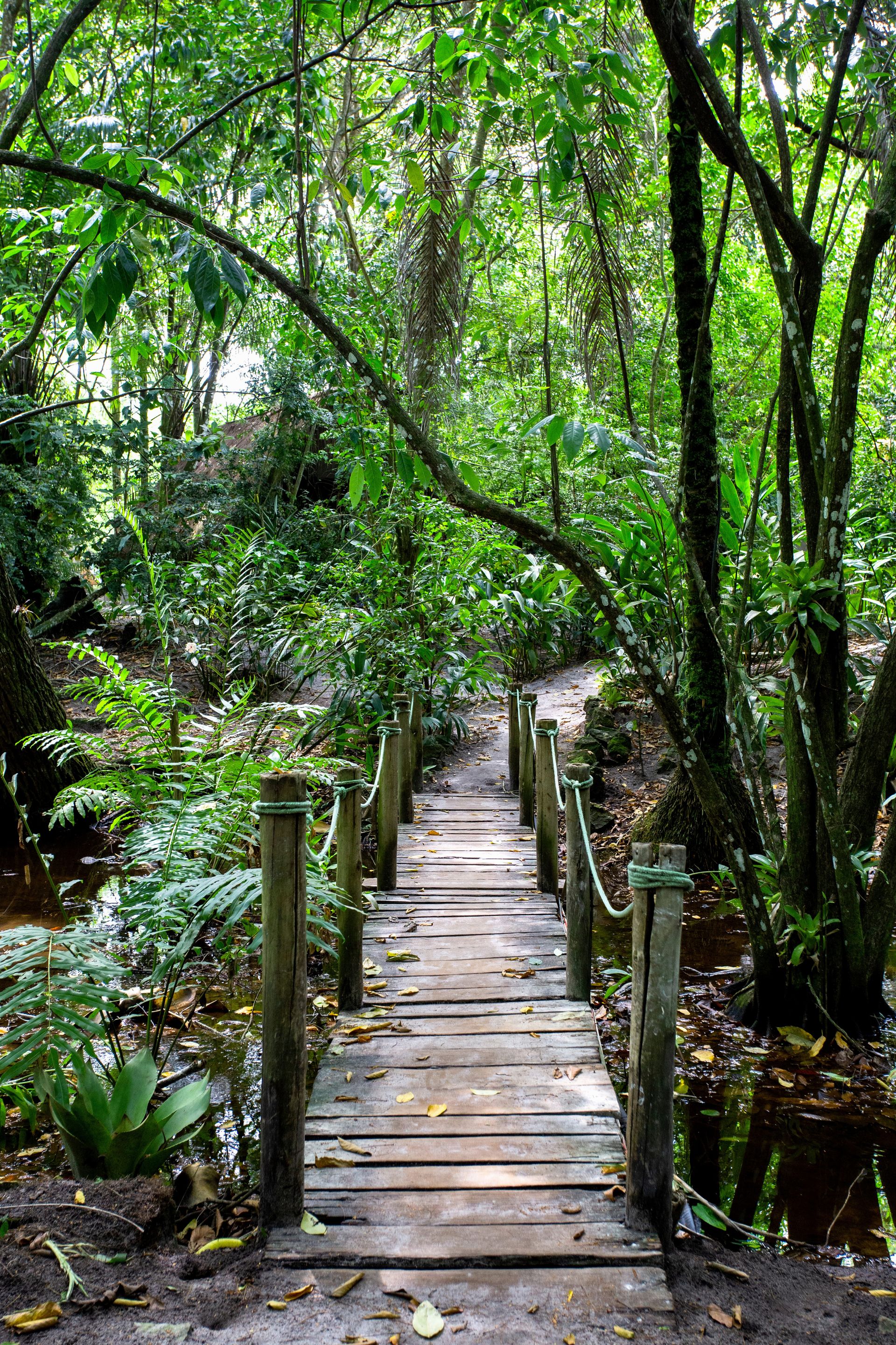 Encantos de Moreré - 2 - 1