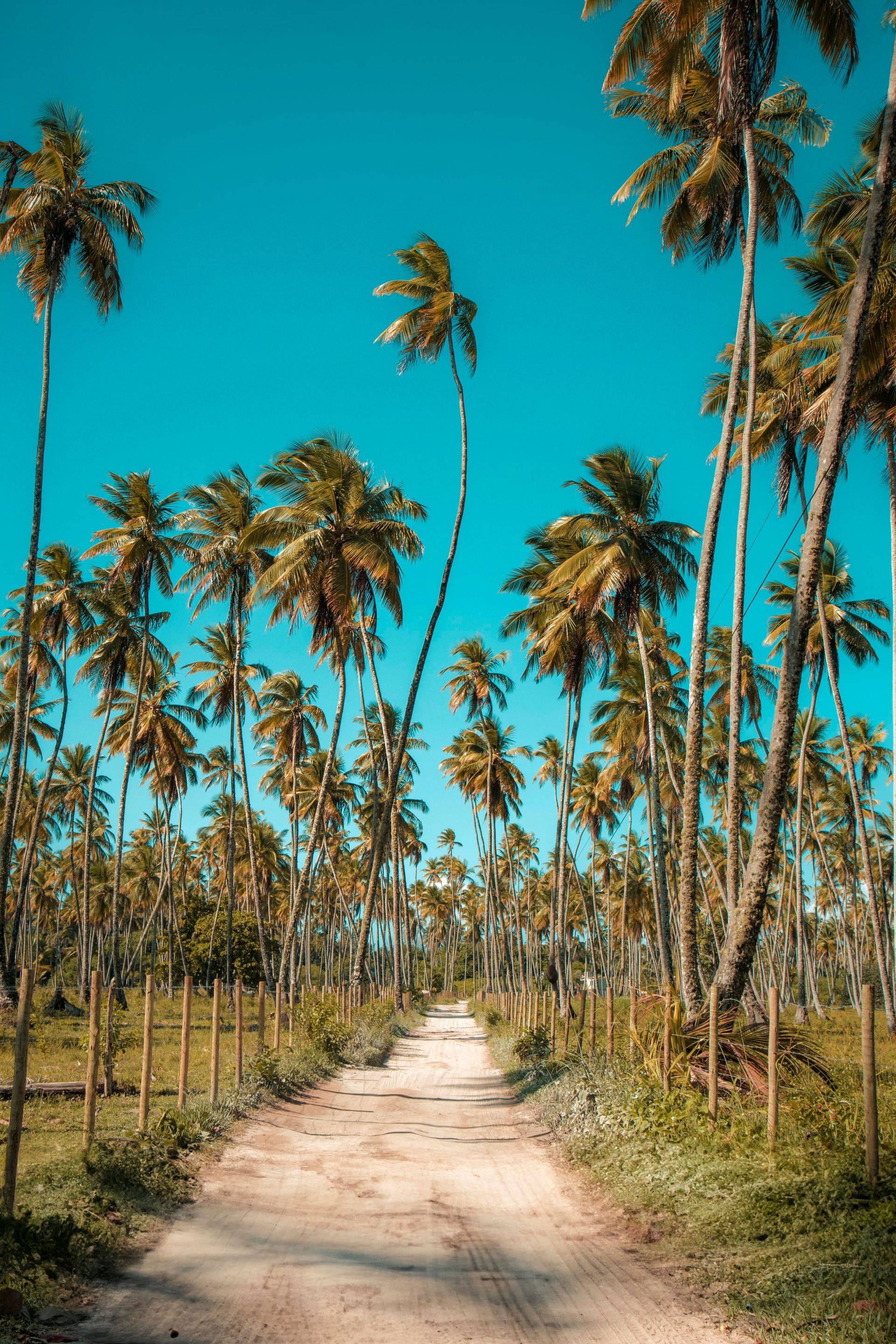 Morro de amores - Morro de São Paulo - 2 - 1