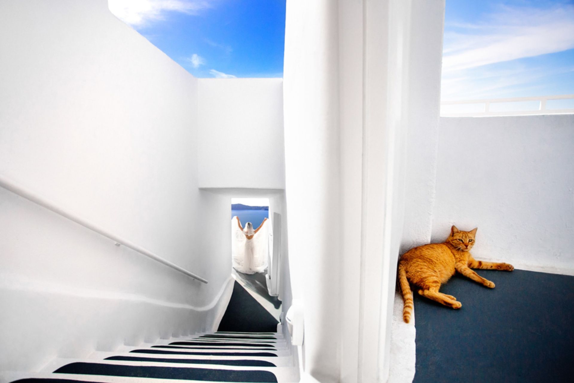 Masters Presets Lightroom and Adobe Premire - 0 - 1