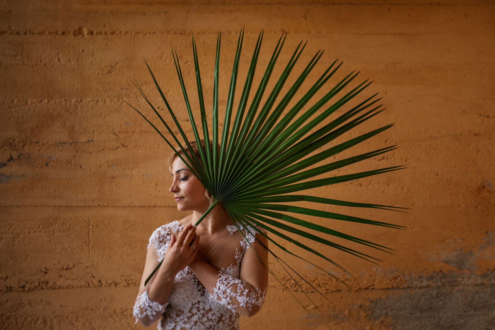 Masters Presets Lightroom and Adobe Premire - 0 - 1