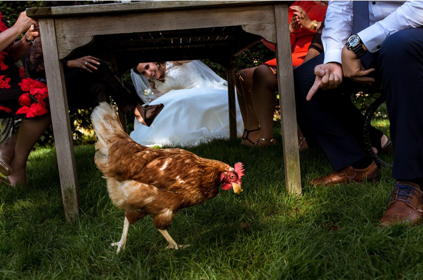 Masters Presets Lightroom and Adobe Premire - 0 - 0