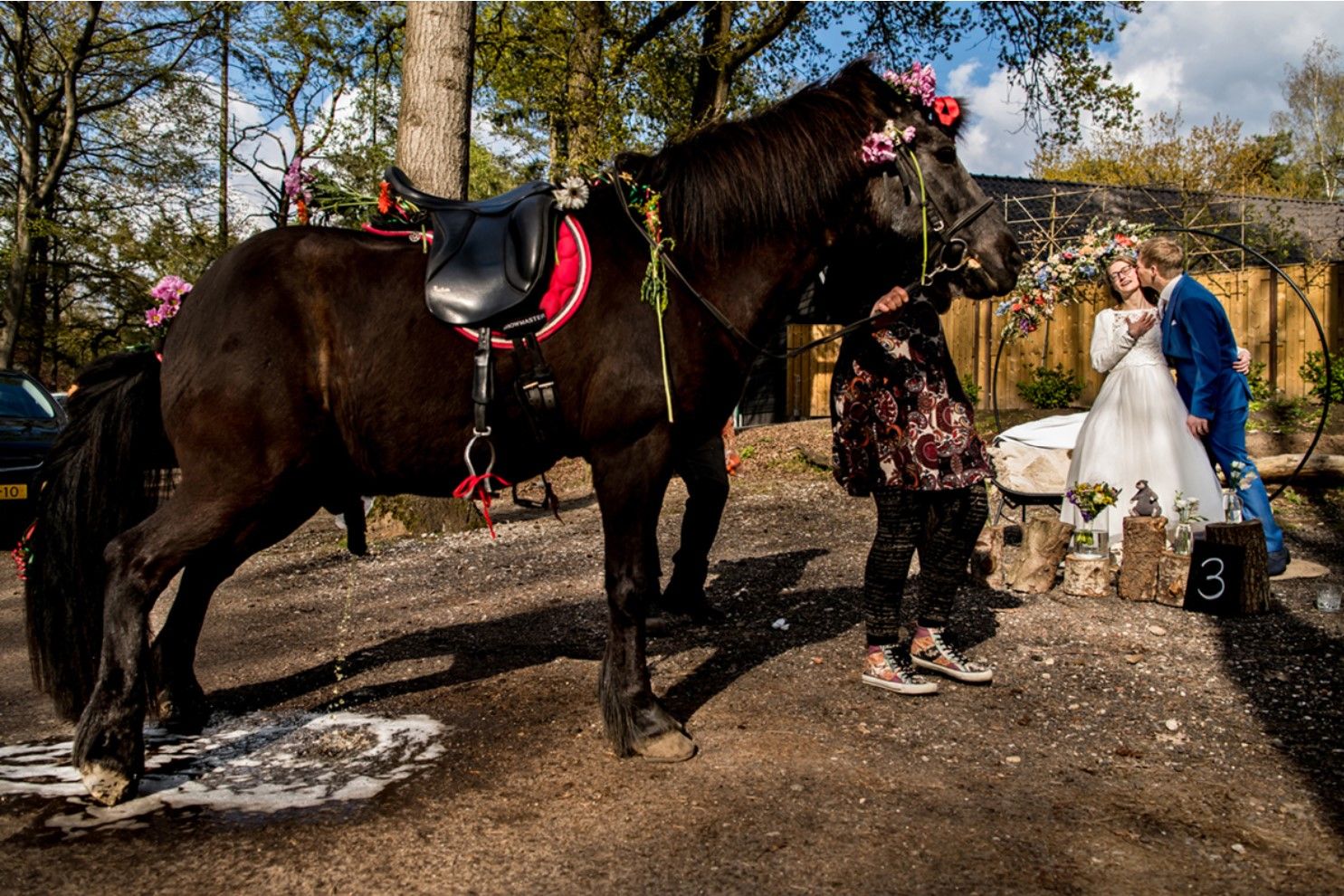 Masters Presets Lightroom and Adobe Premire - 0 - 1