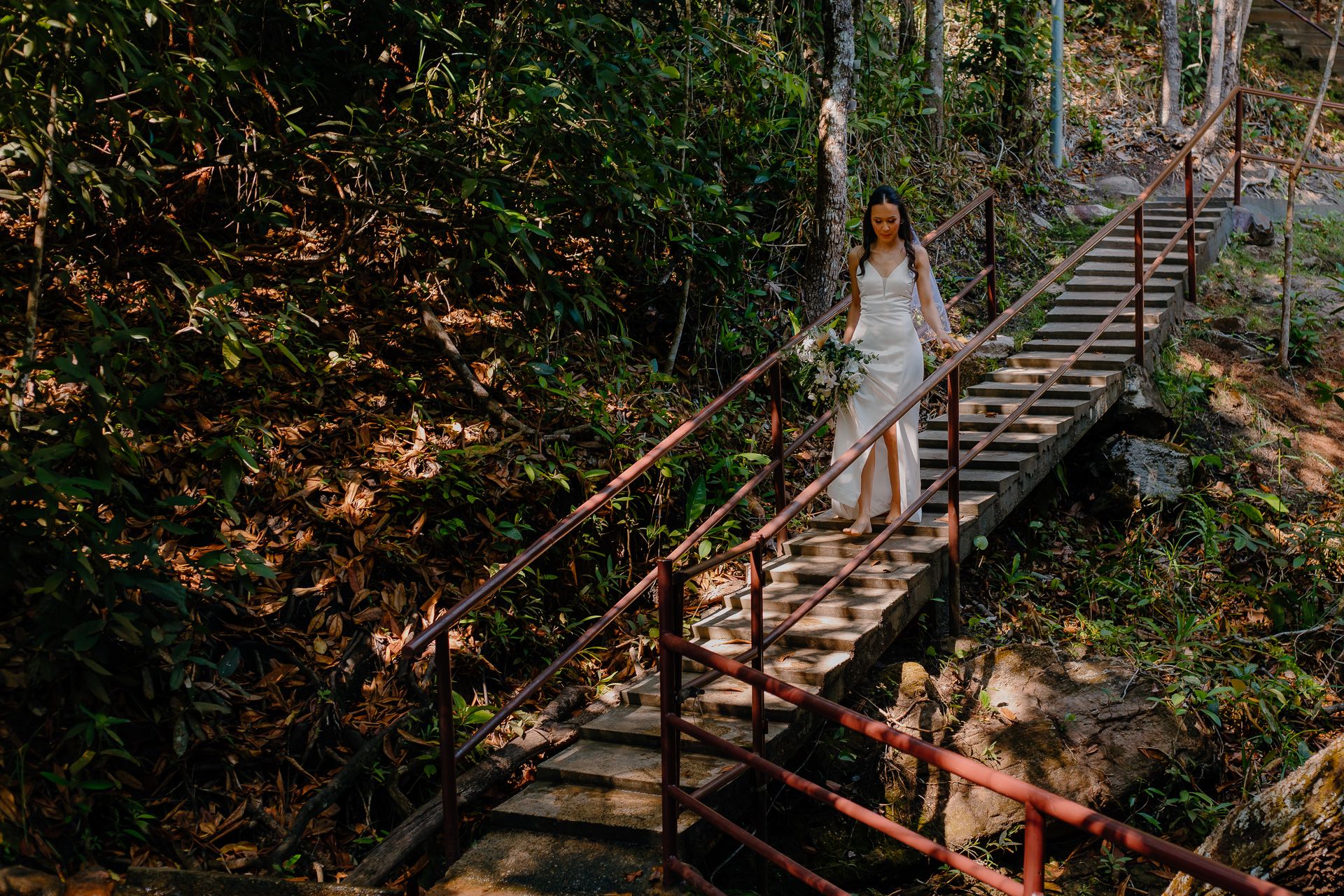 Welton Cobra Fotografo - 0 - 9