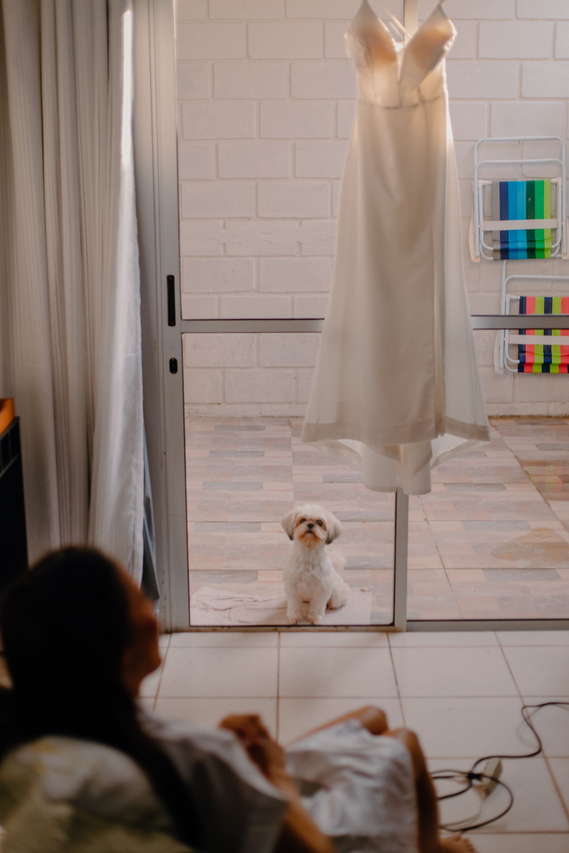 Welton Cobra Fotografo - 0 - 0