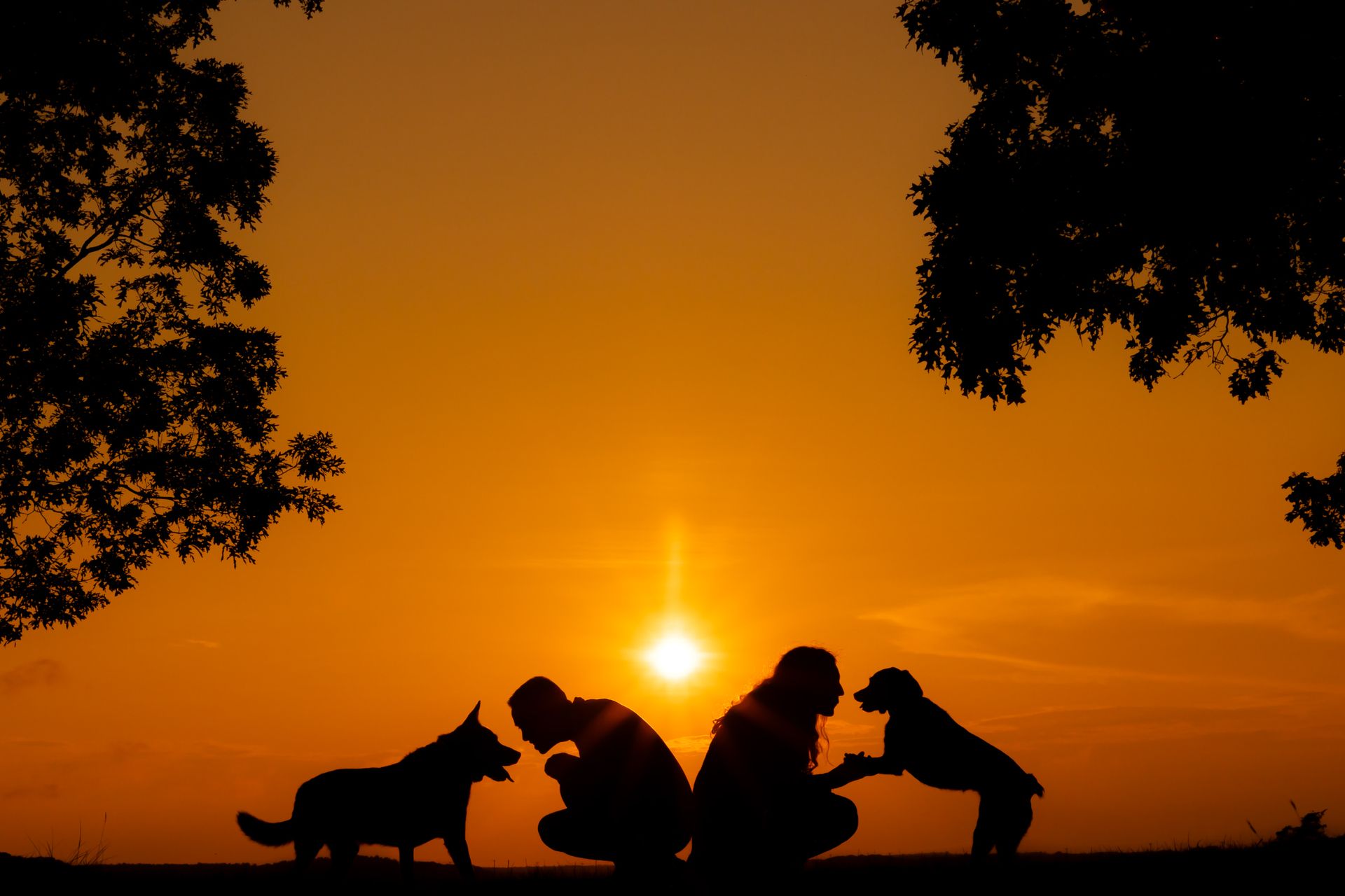 Katie & Dan's Engagement Session at Family Home in Bourne - 2 - 2