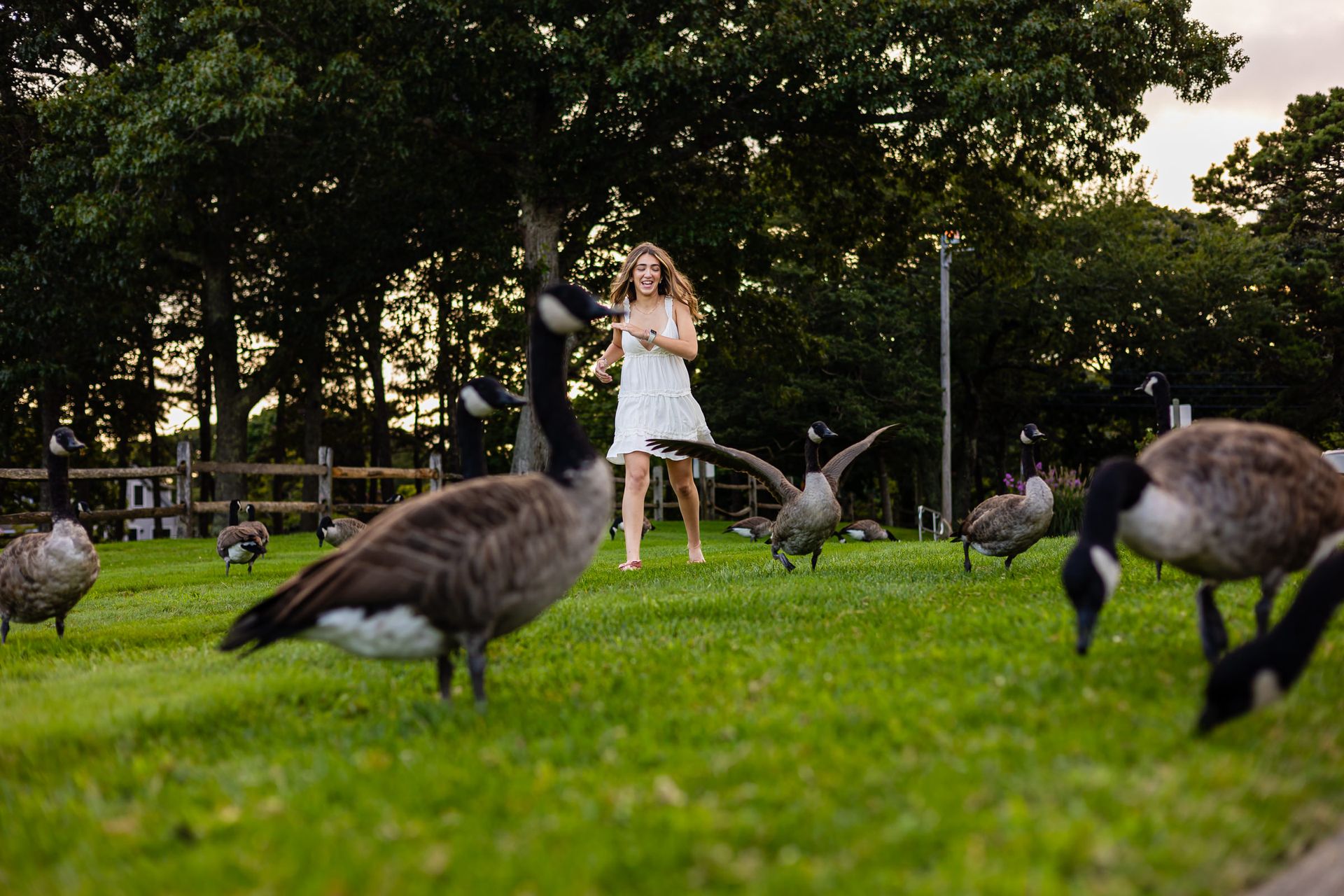 Sunny Memories: Lali's High School Senior - 2 - 1