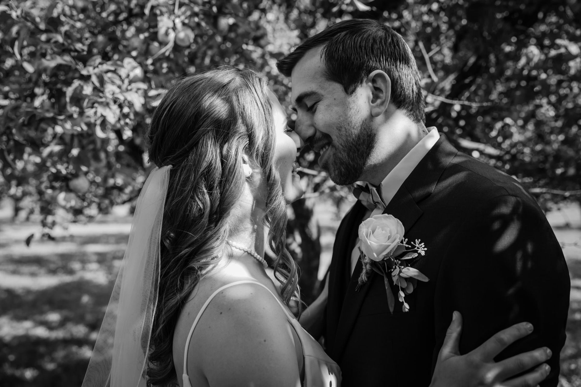 Jessie & Josh's Sunny Farm Wedding at Allen Hill Farm - 2 - 0