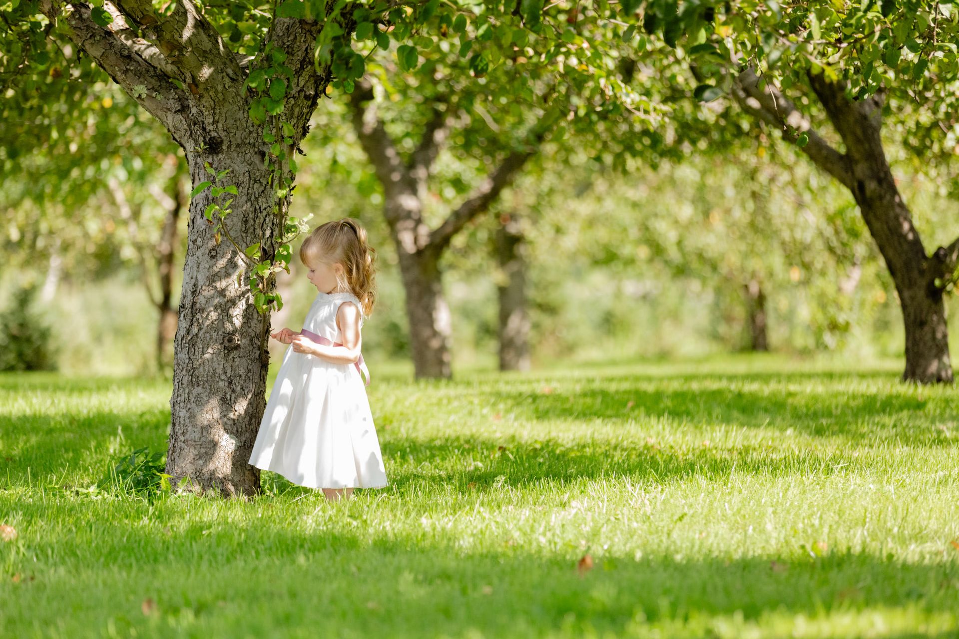 Jessie & Josh's Sunny Farm Wedding at Allen Hill Farm - 2 - 1