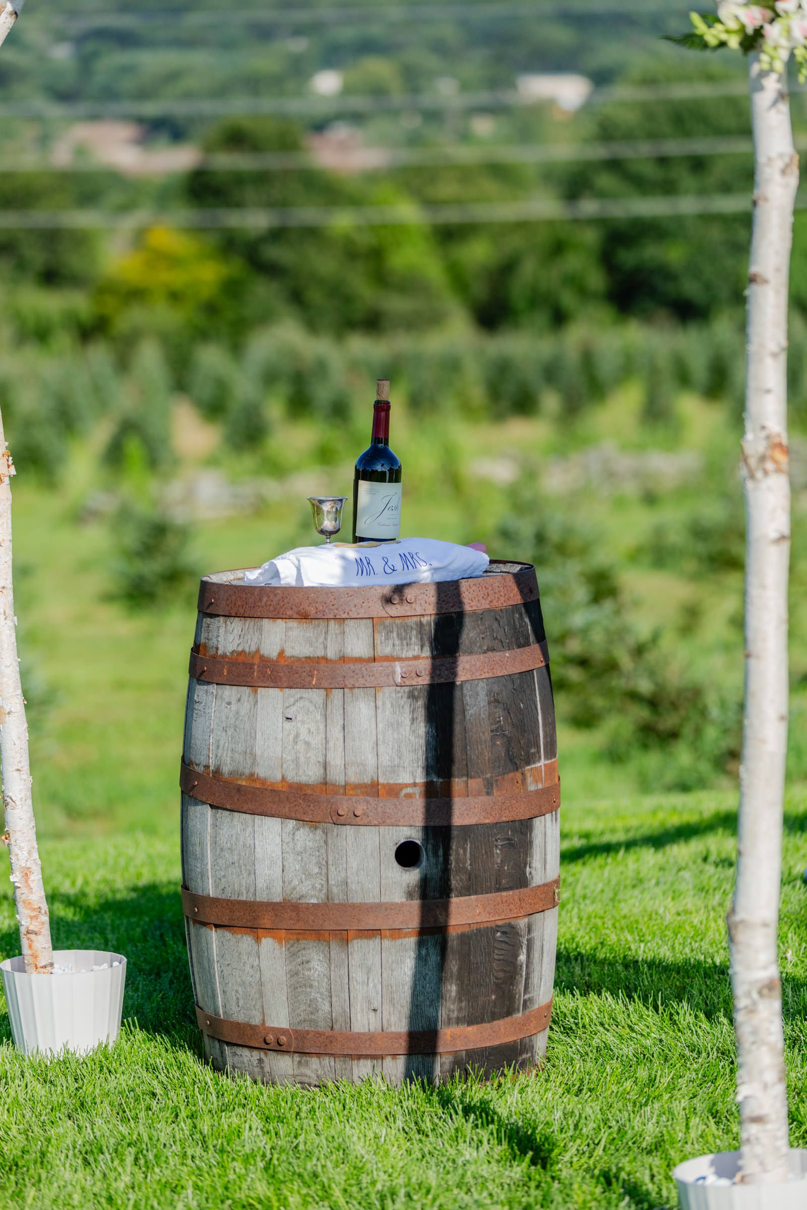 Jessie & Josh's Sunny Farm Wedding at Allen Hill Farm - 2 - 1