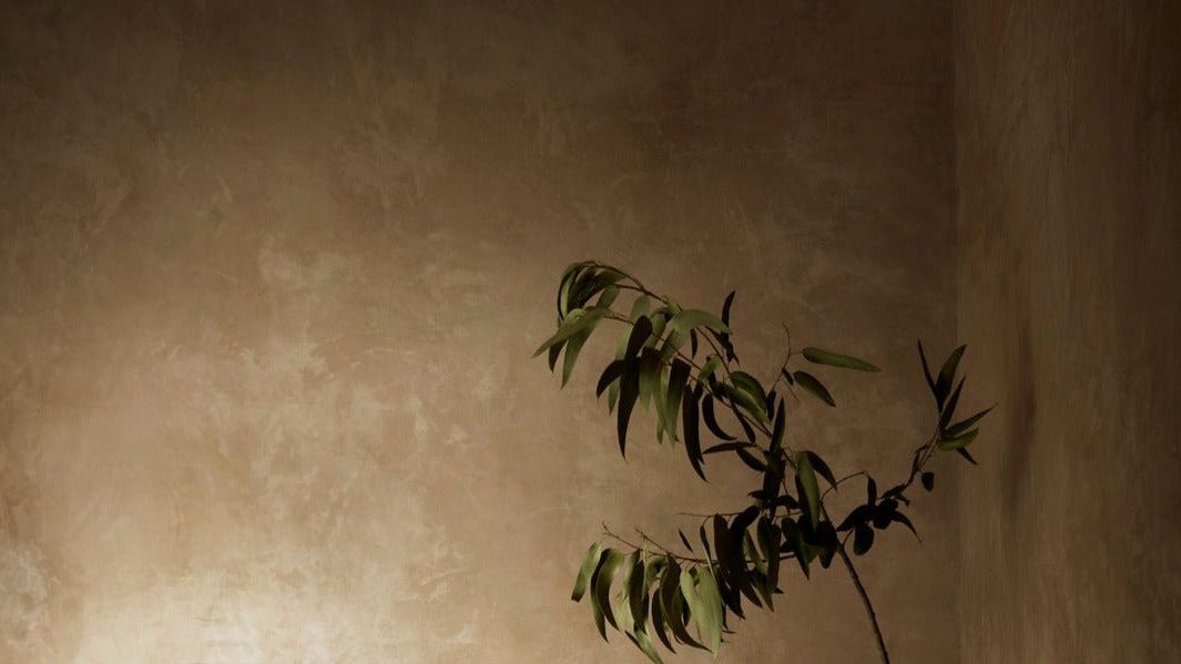 Limewash. Transforme sua casa com a beleza natural - Slide 0