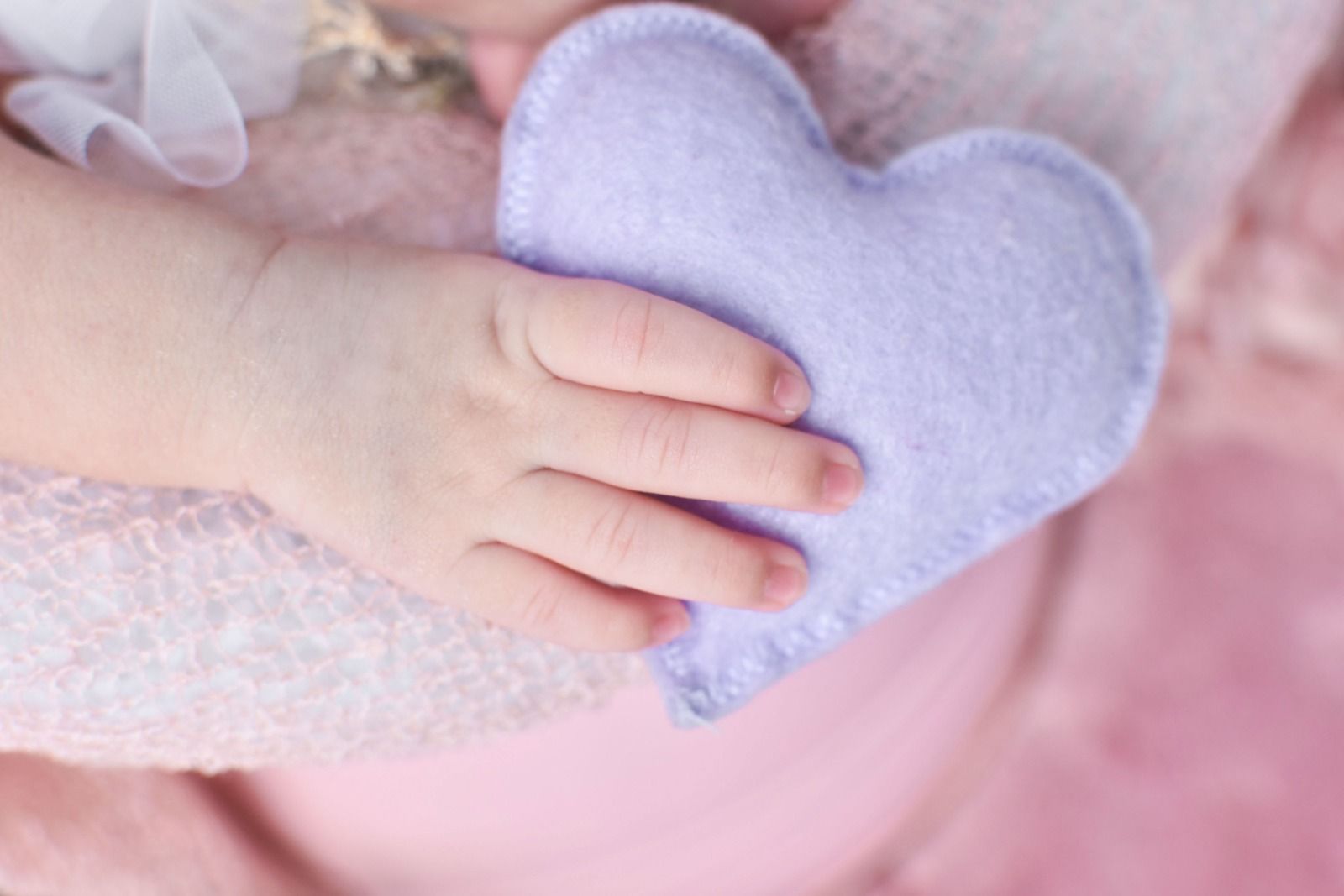 Studio Cida Lopes - 0 - 3