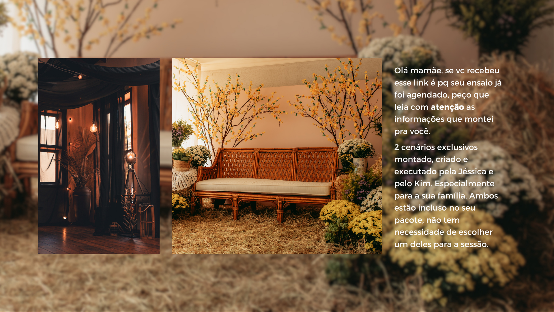 jessicagomesfoto - 3