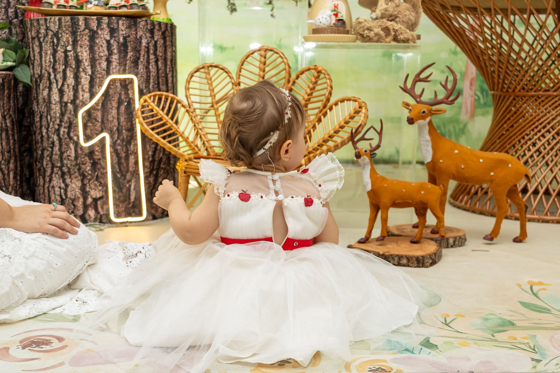 Helena 1 aninho - Indaiatuba - 2 - 5