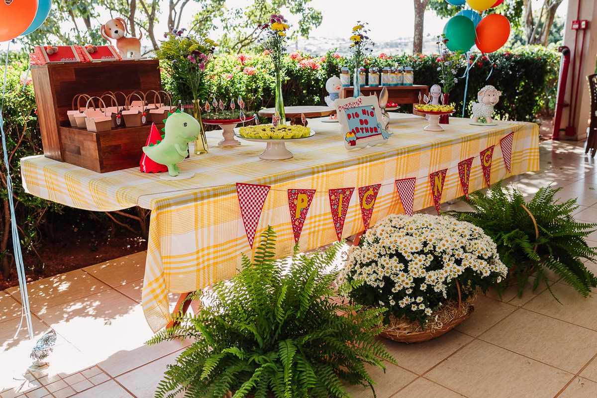 Arthur 1 ano - 2 - 12