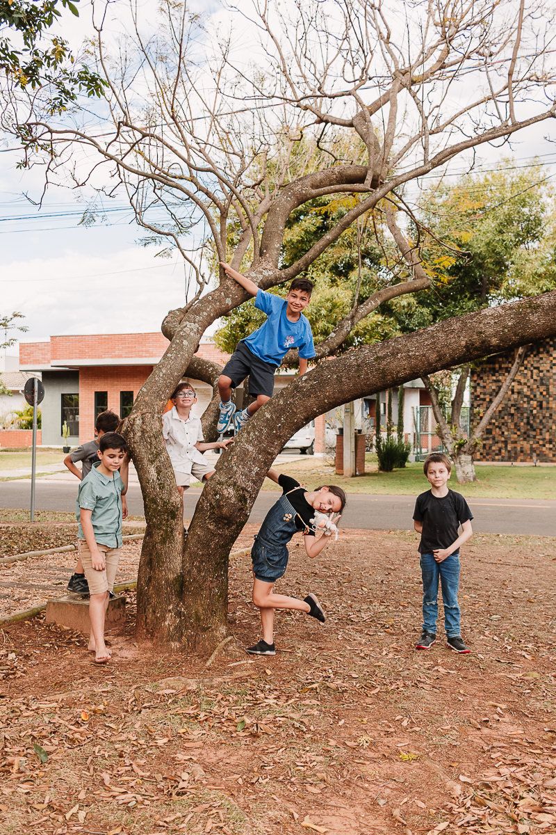 Bernardo 8 anos - 2 - 35