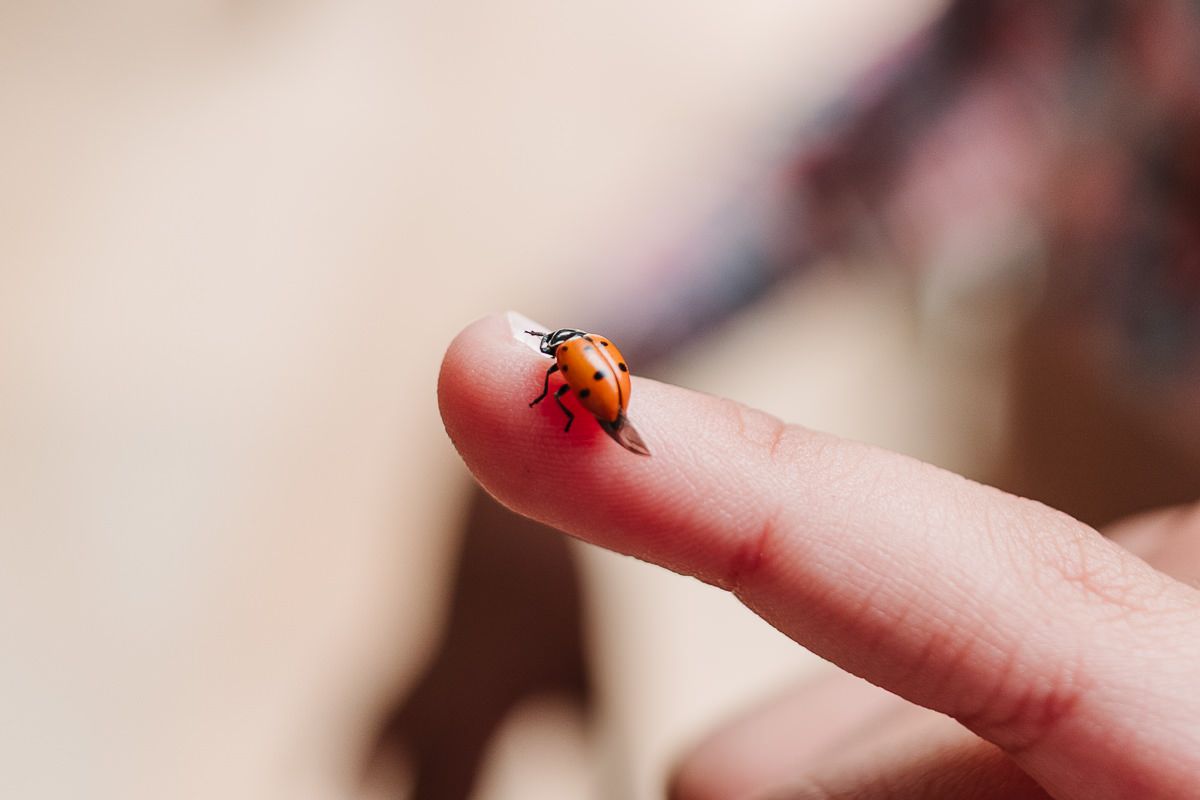 Batizado e 4 ano do João - 2 - 27