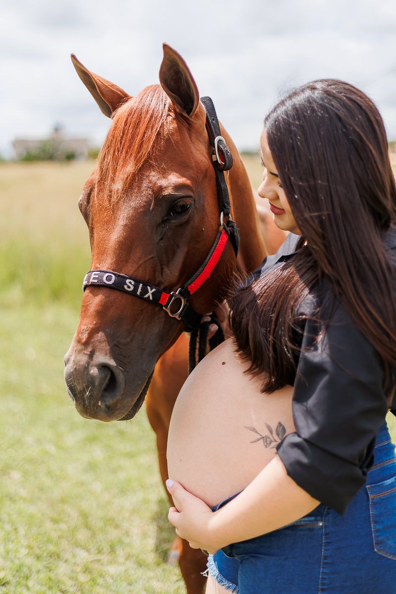 Vem Bernardo - 2 - 8