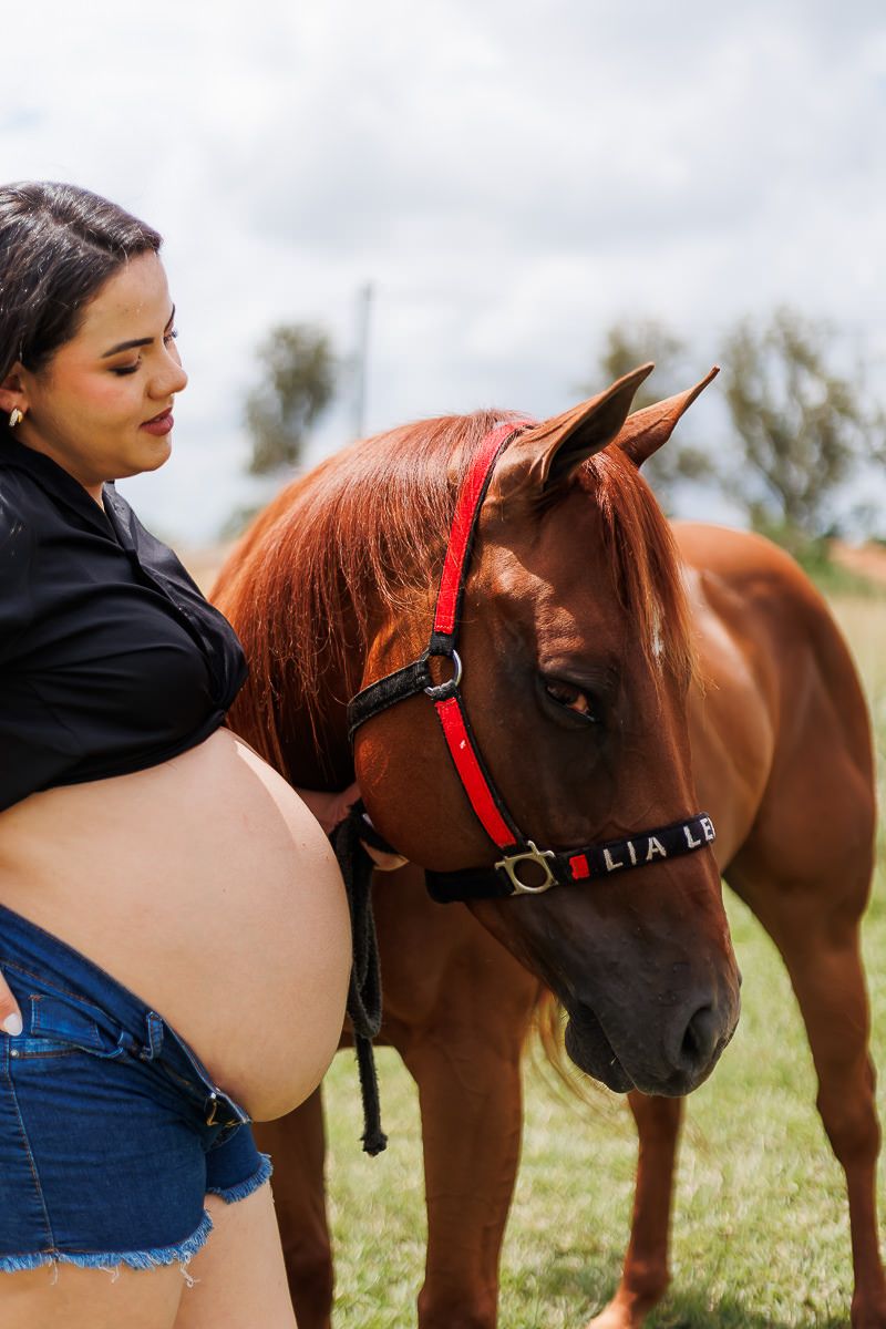 Vem Bernardo - 2 - 24