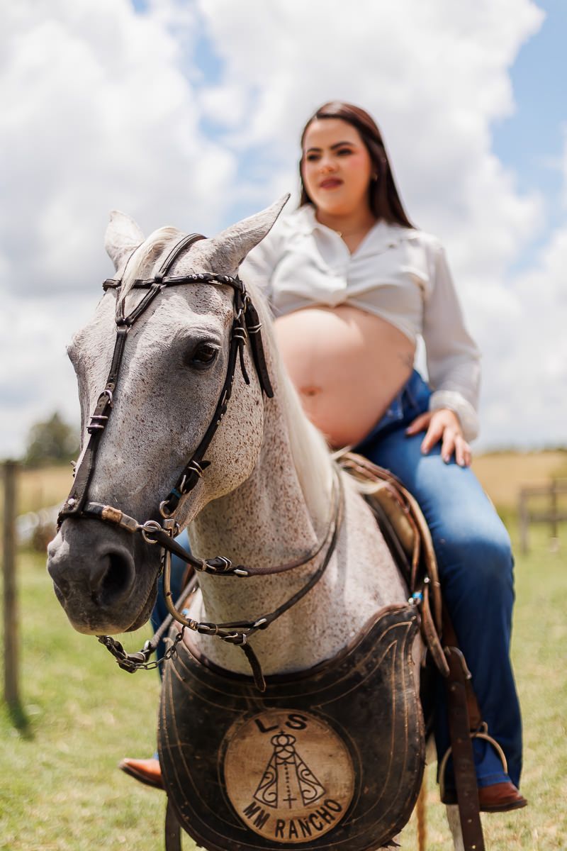 Vem Bernardo - 2 - 33