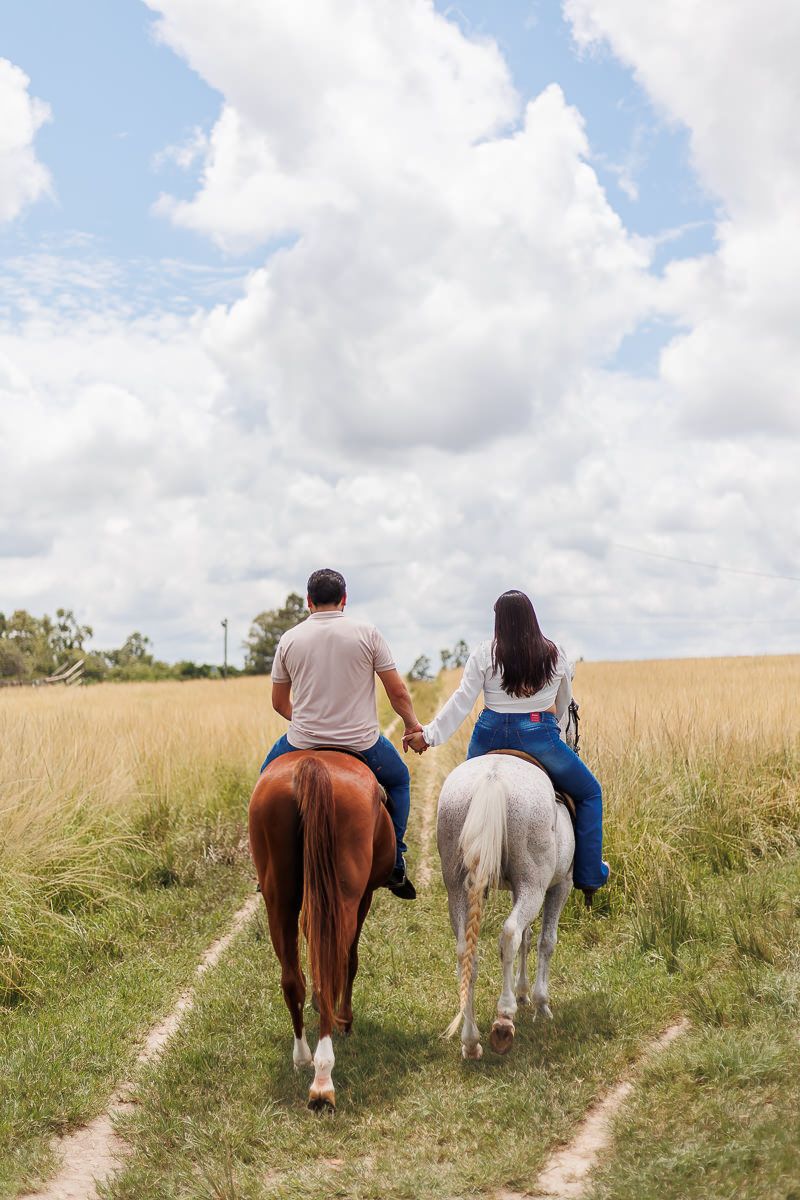Vem Bernardo - 2 - 36