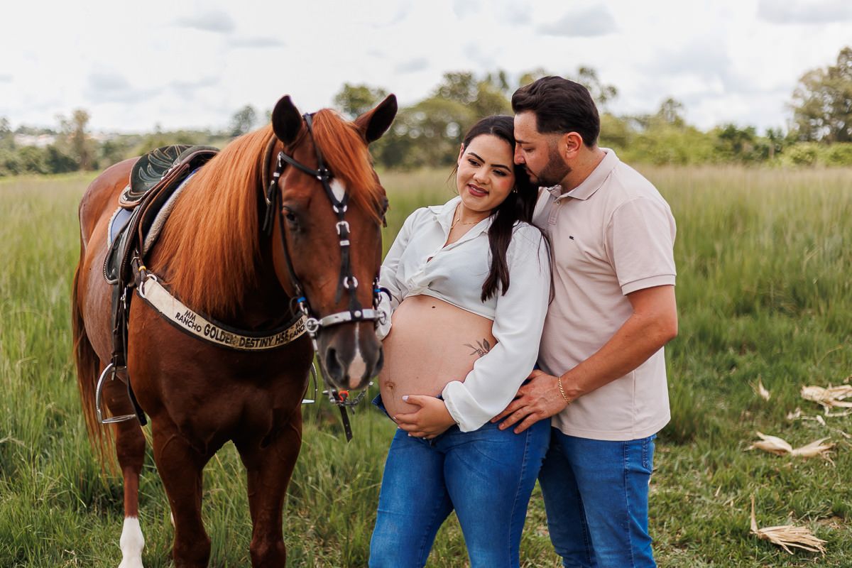 Vem Bernardo - 2 - 11