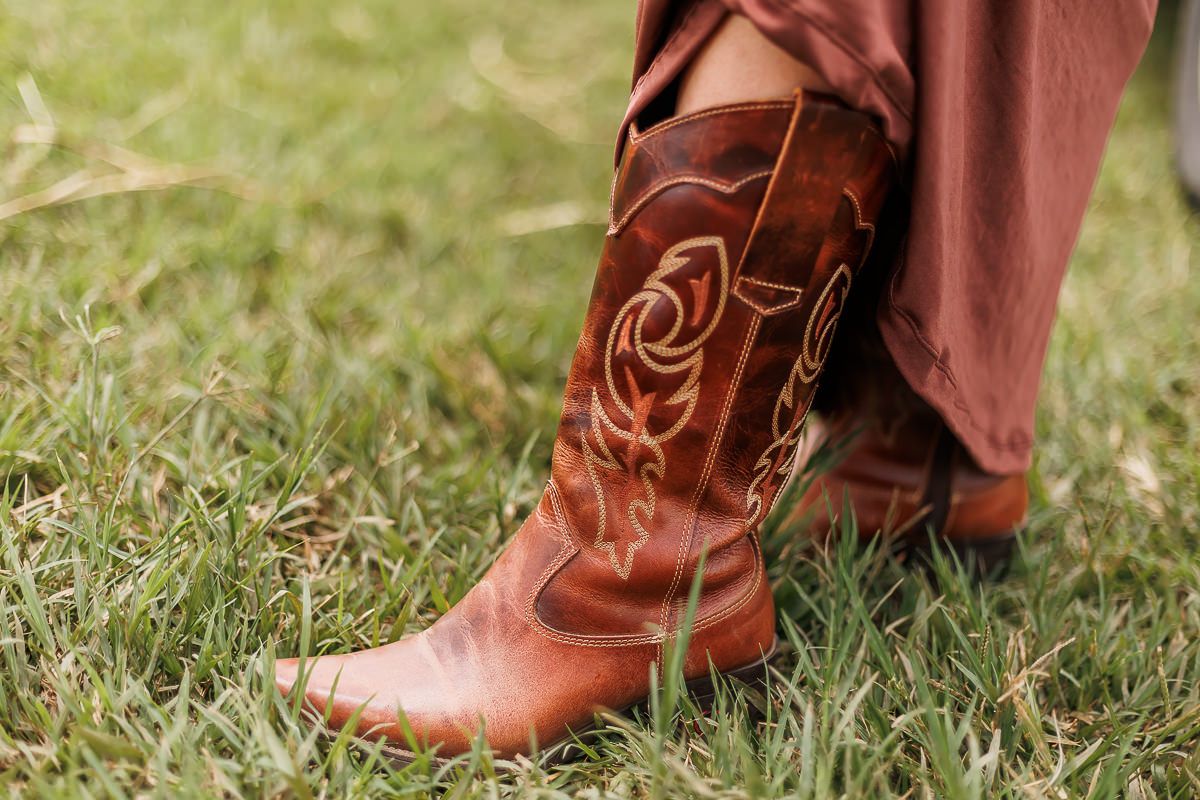 Vem Bernardo - 2 - 1