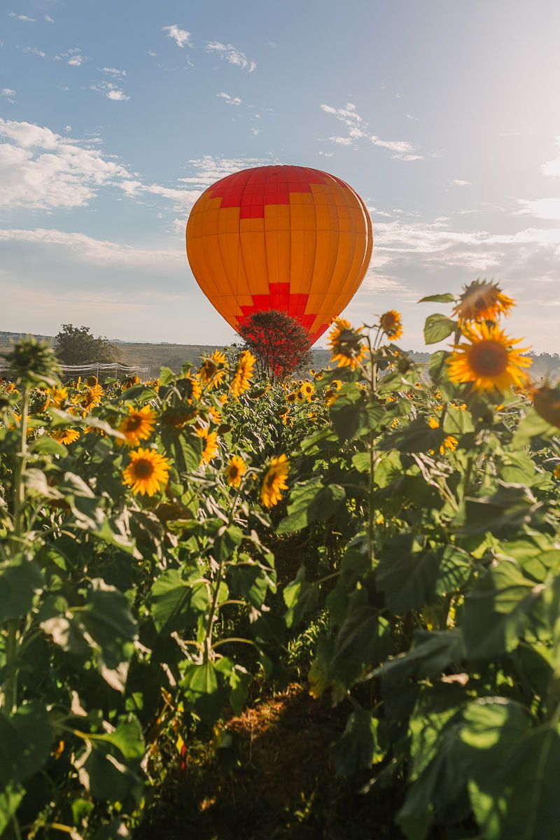 Sunset Vila Fahl - 2 - 7