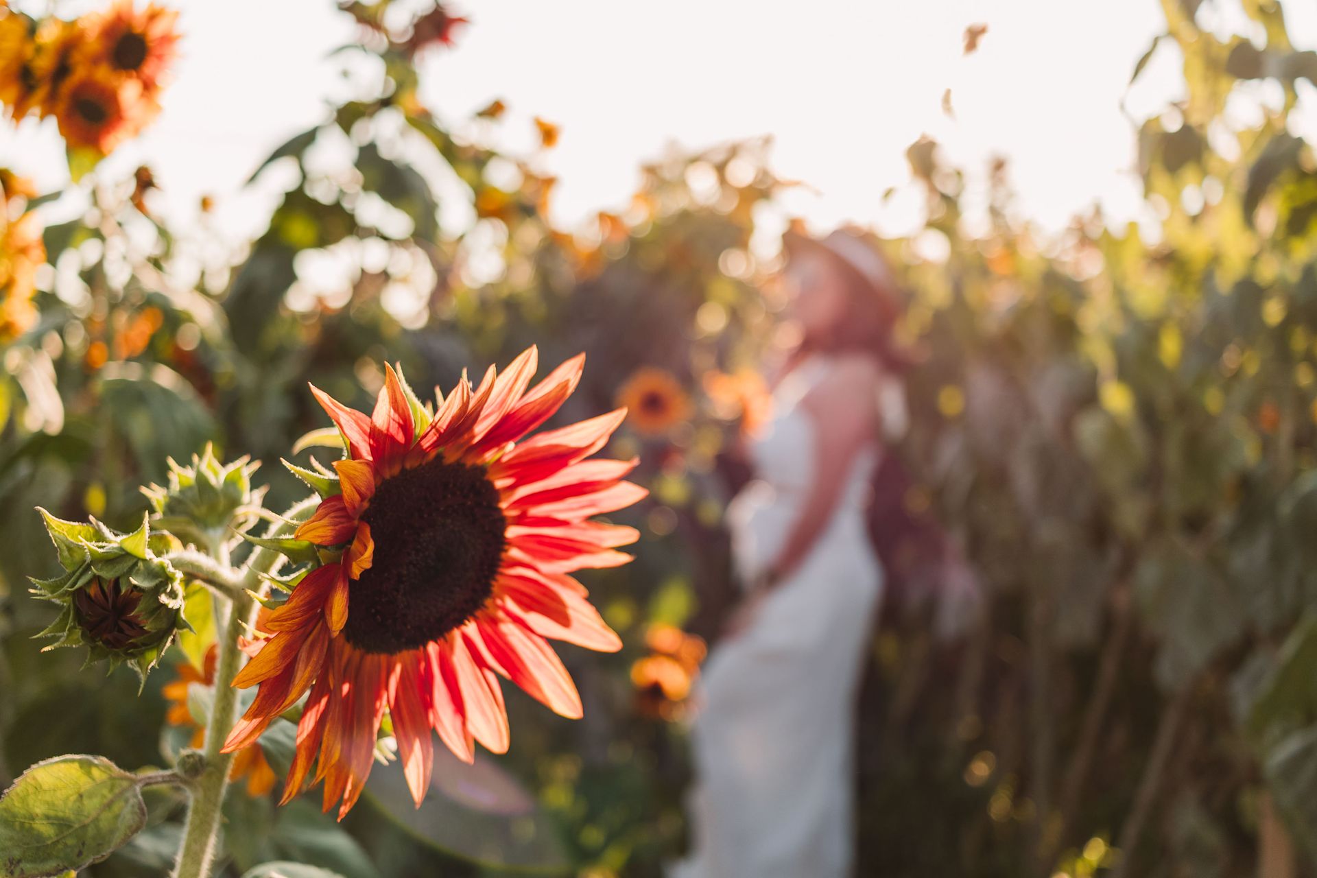 Glaucia & Rafael - 2 - 3