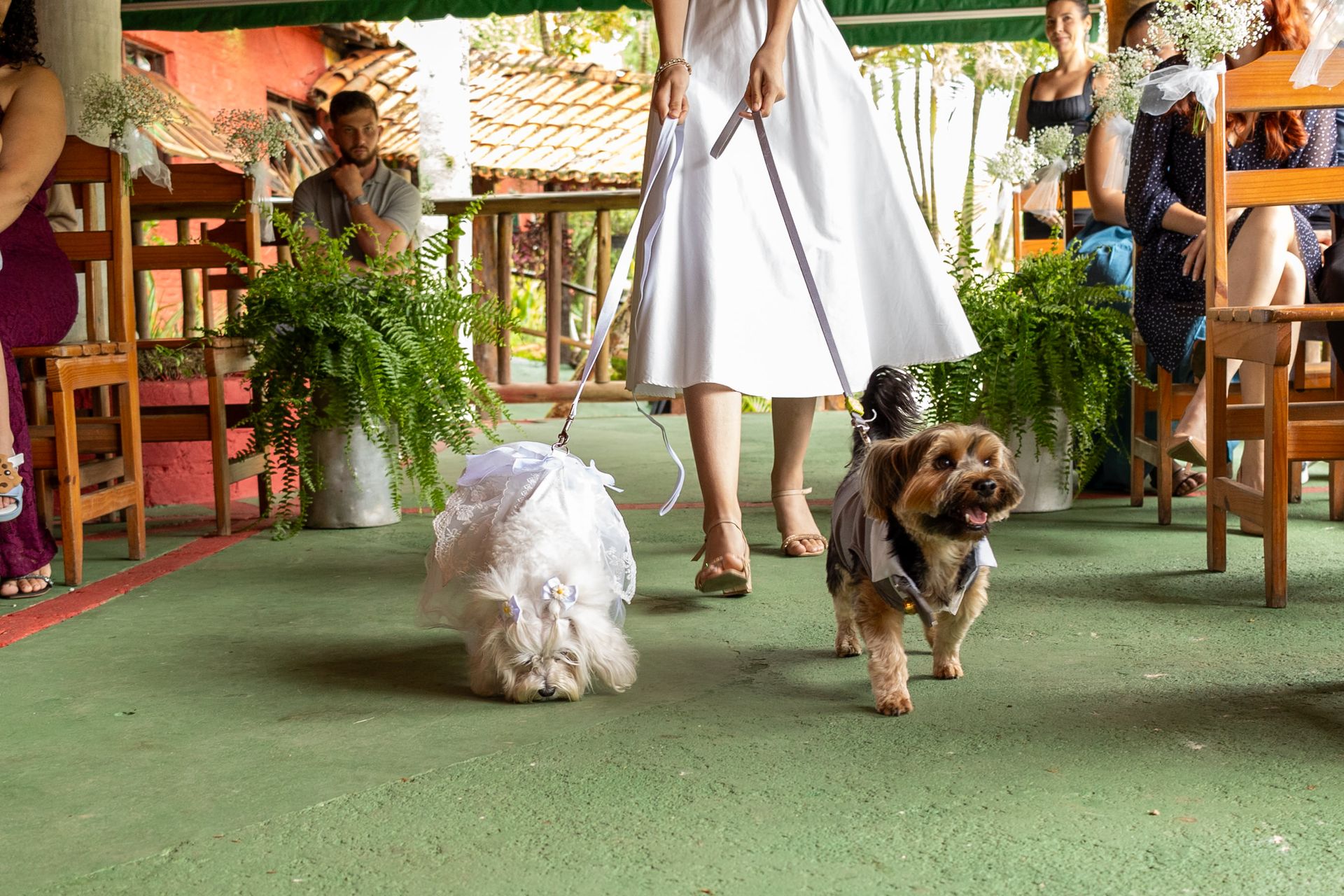 Grazielle & Jefferson - 2 - 12