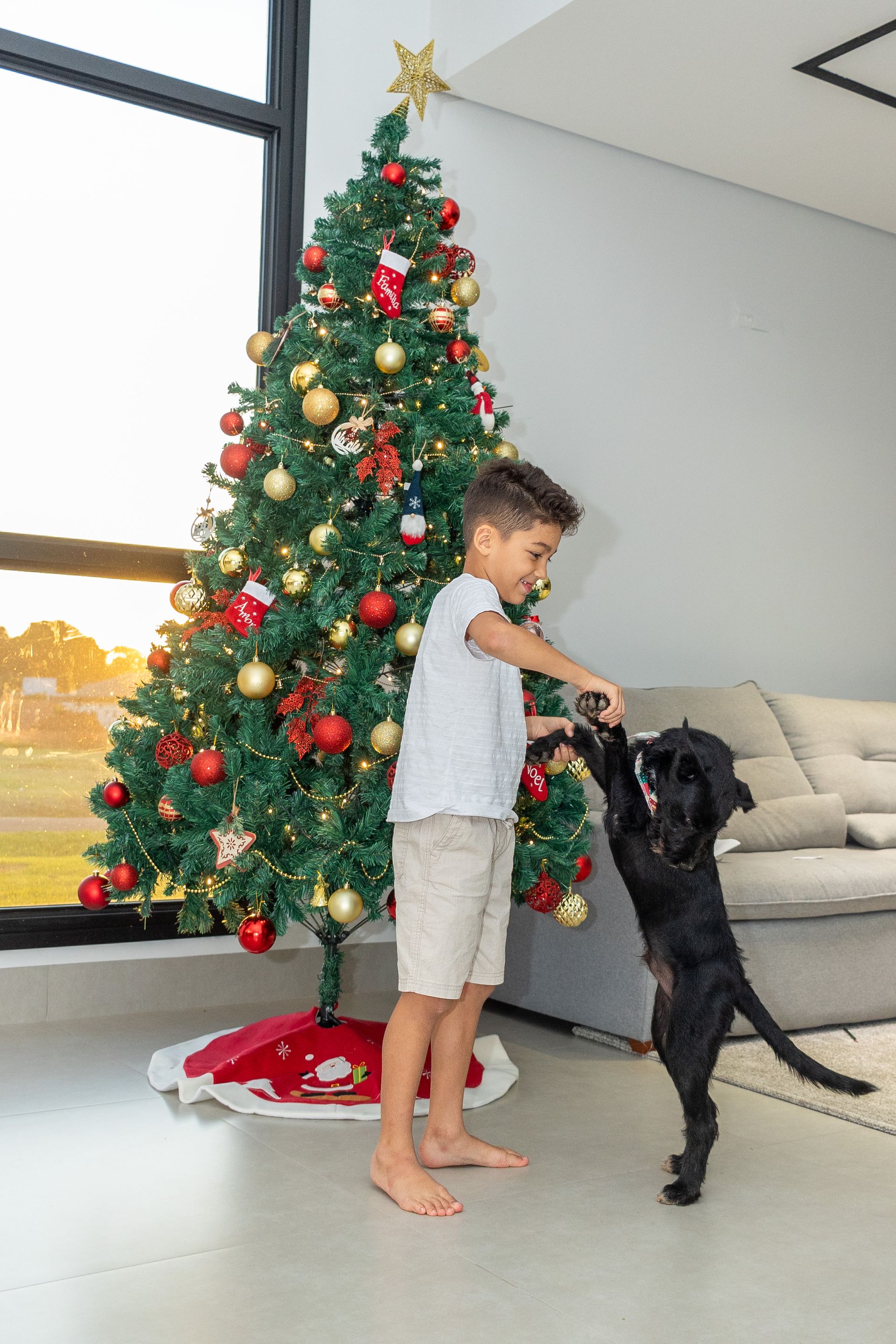 Karol Vitorino - Ensaio Natal 2024 - 2 - 1