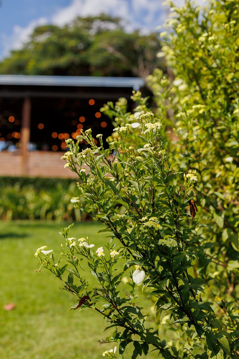 Lucca 1 ano - 2 - 39