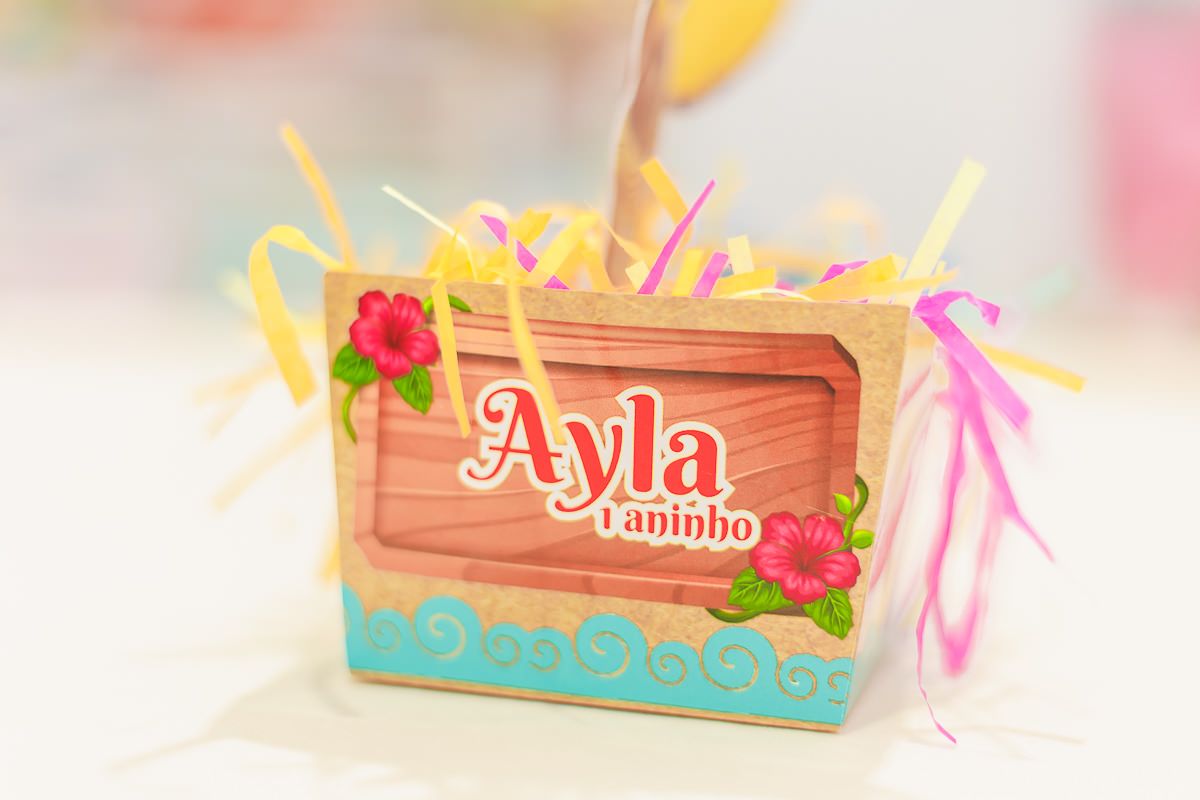Ayla 1 ano - 2 - 0
