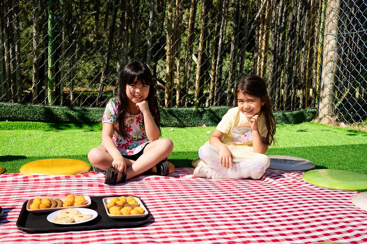 Alícia 6 anos - 2 - 2
