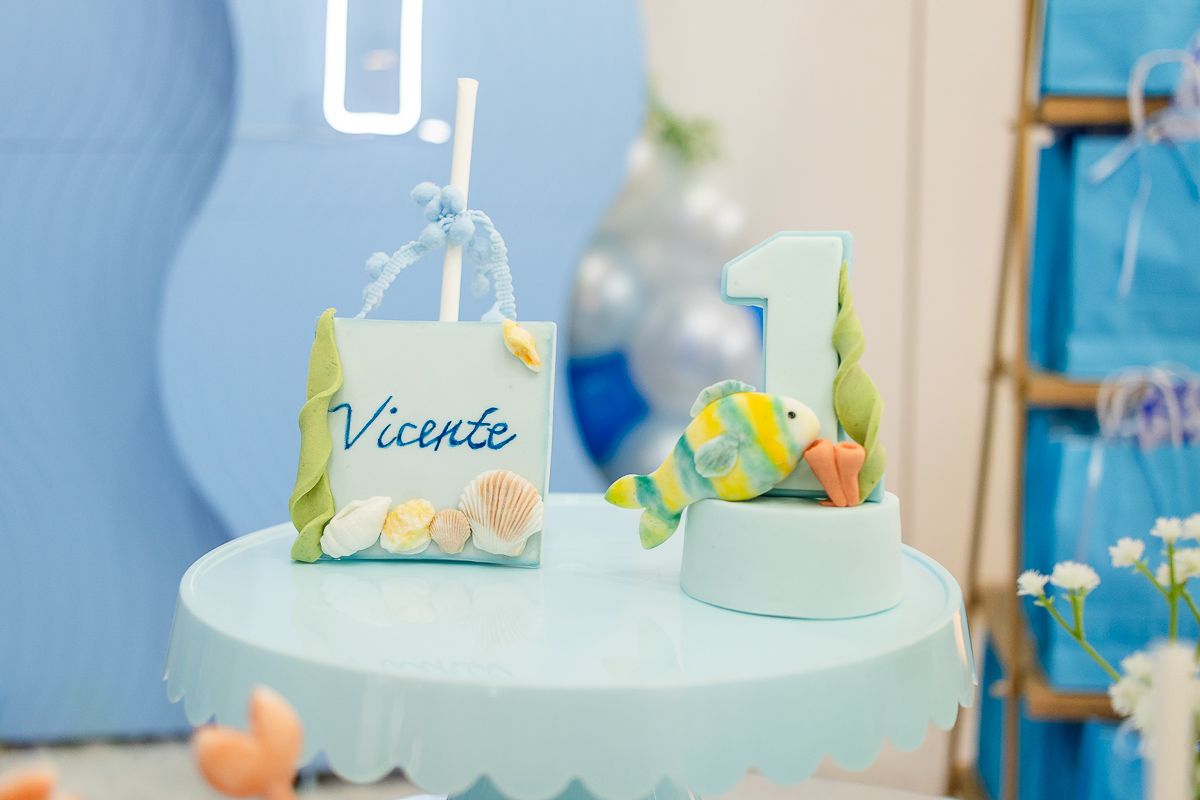 Vicente 1 ano - 2 - 2