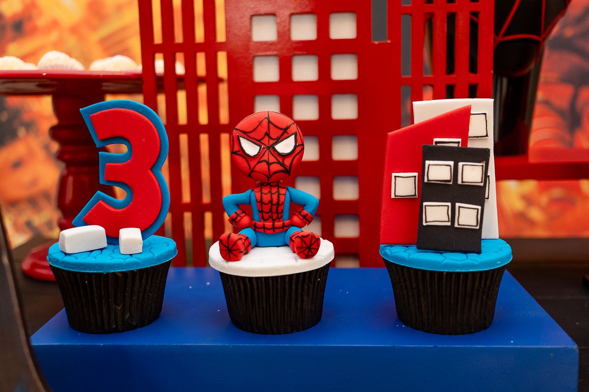 Pedro 3 anos - 2 - 2