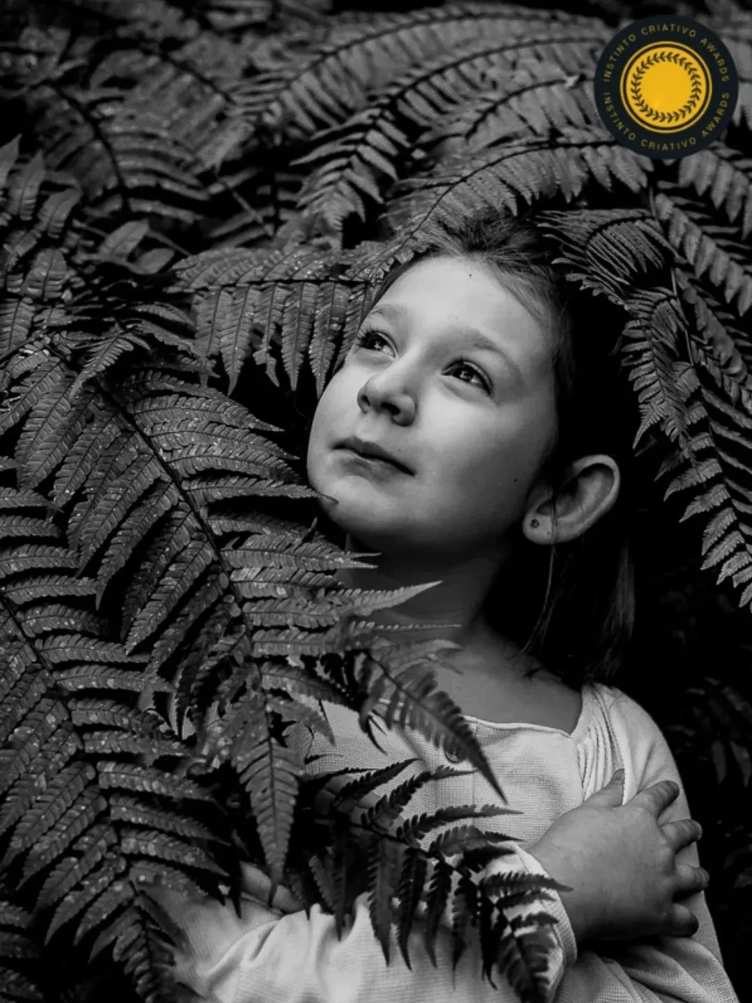 Fotos Premiadas - 1 - 15