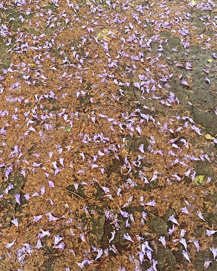 Capturamos momentos autênticos com naturalidade, espontaneidade e emoção. - Slide 13