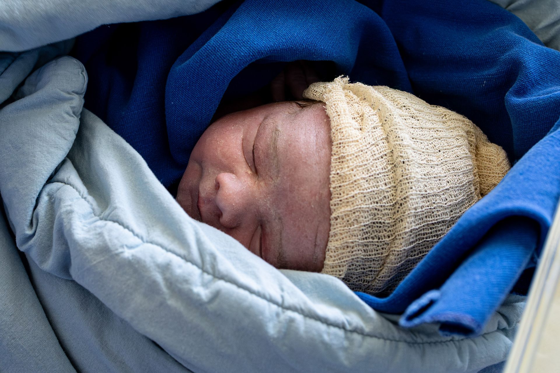 Bem-vindo Léo! - 1 - 1