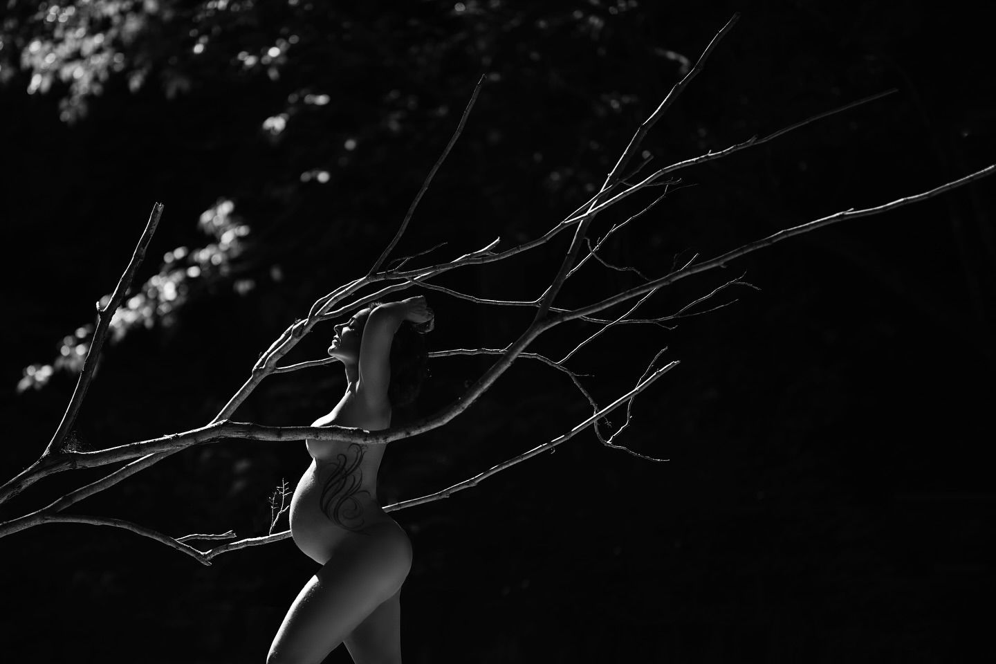 Congresso Photomotion - Slide 1