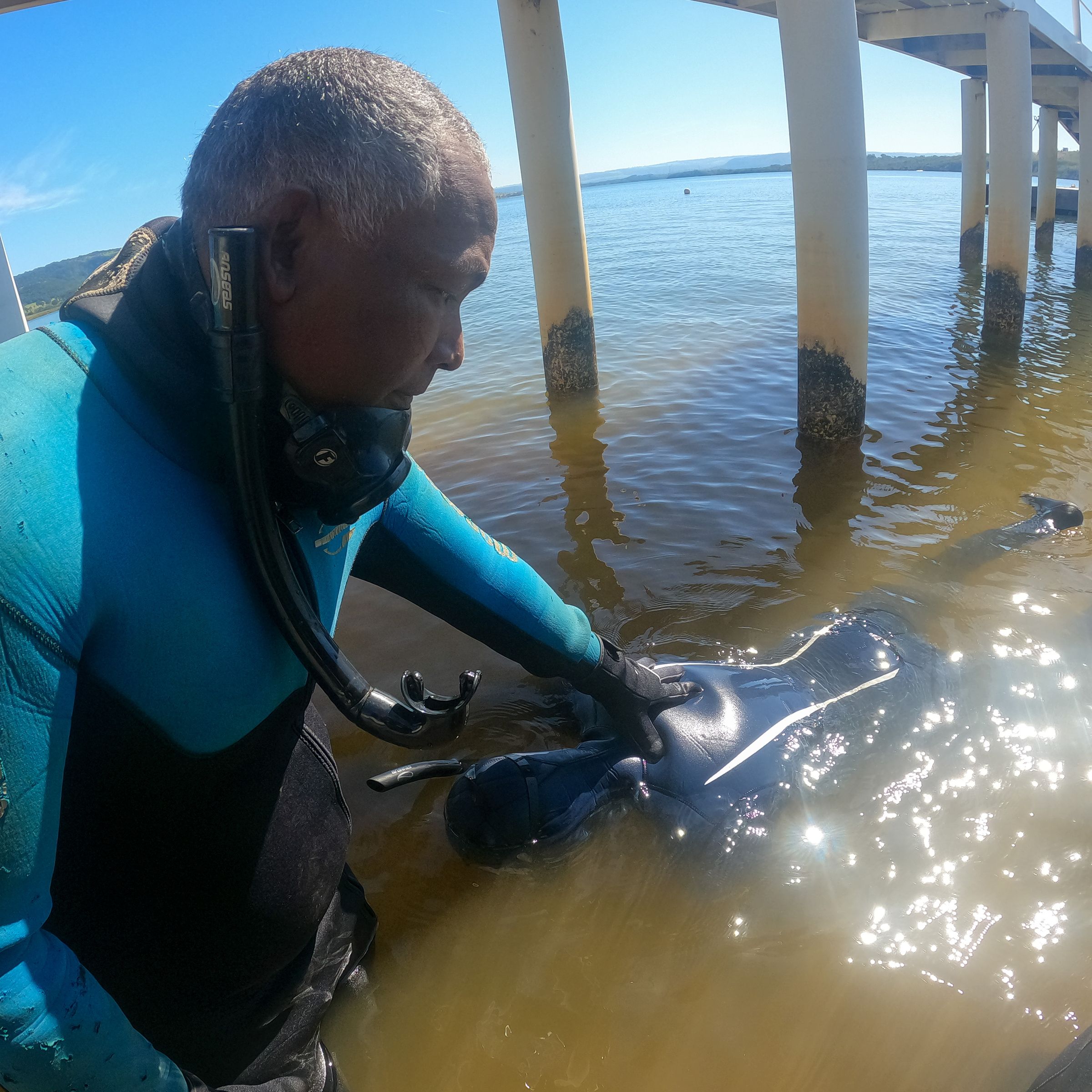 Curso de PESCA SUB em Rifaina/SP - 3 - 26